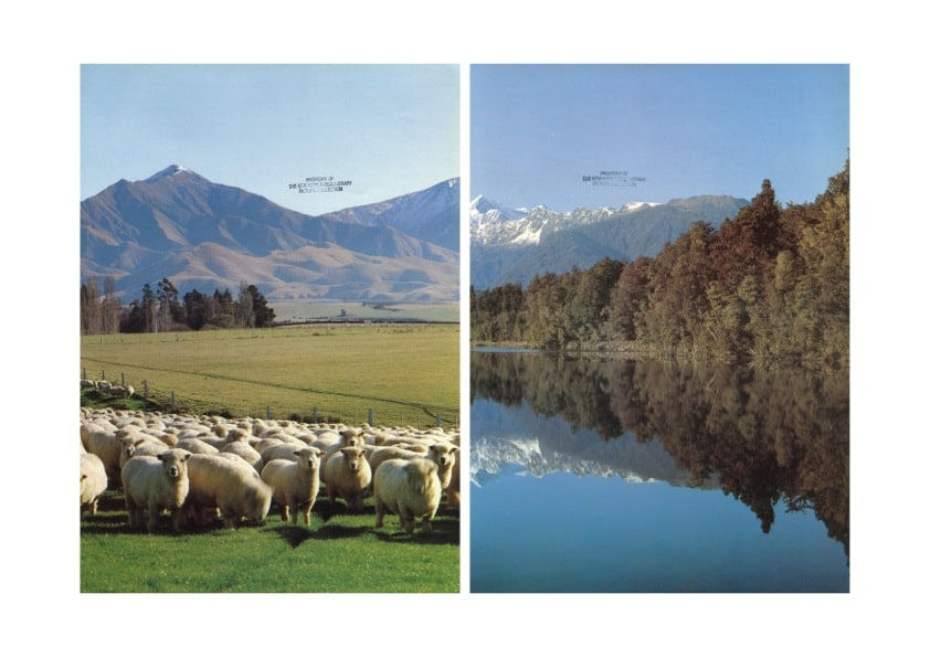 Mickey Smith, New Zealand_PROPERTY OF, 2014