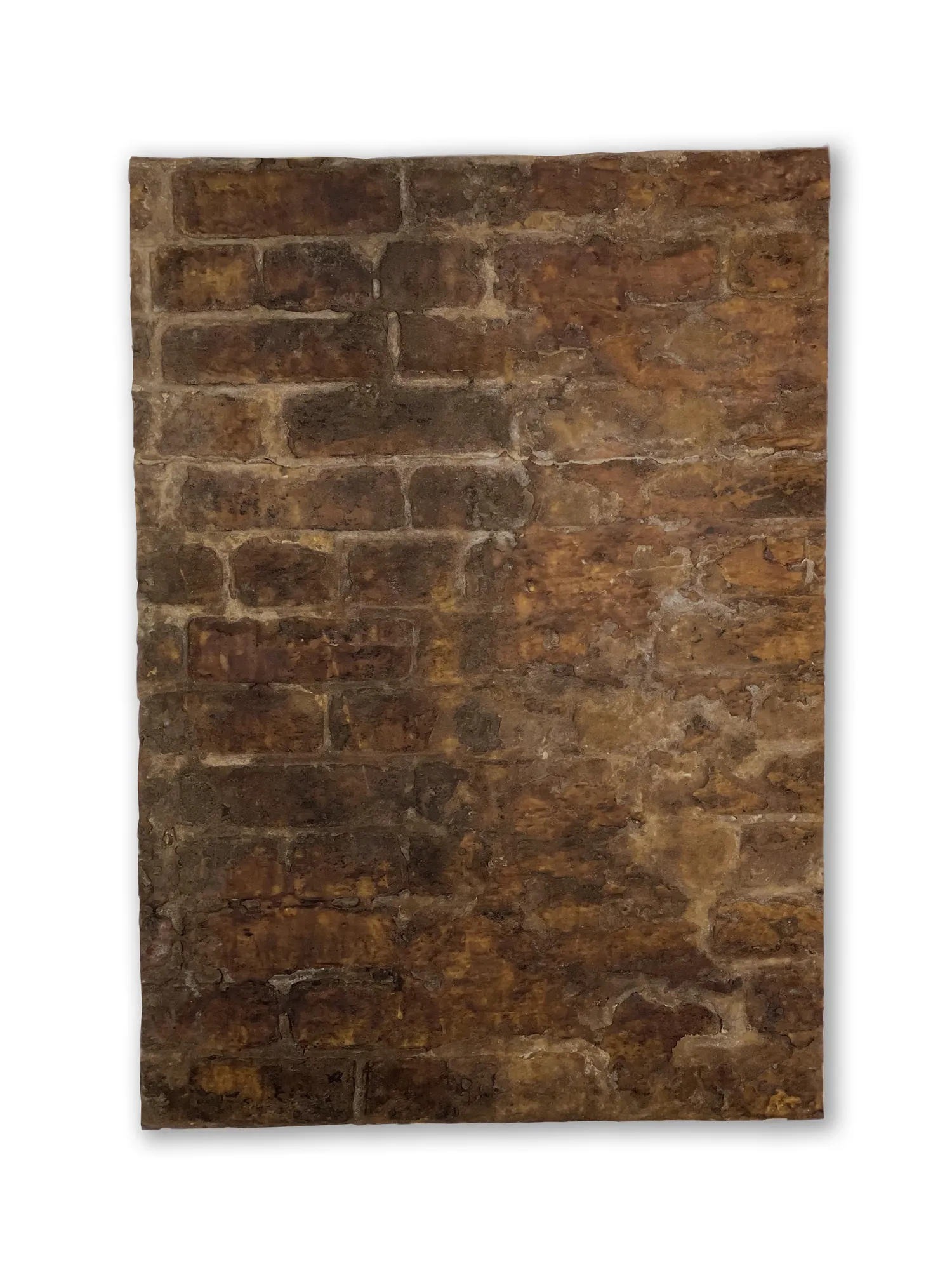 Jorge Otero-Pailos, Distributed Monument 44 [From The Ethics of Dust Series: U.S. Old Mint, San Francisco, CA], 2015