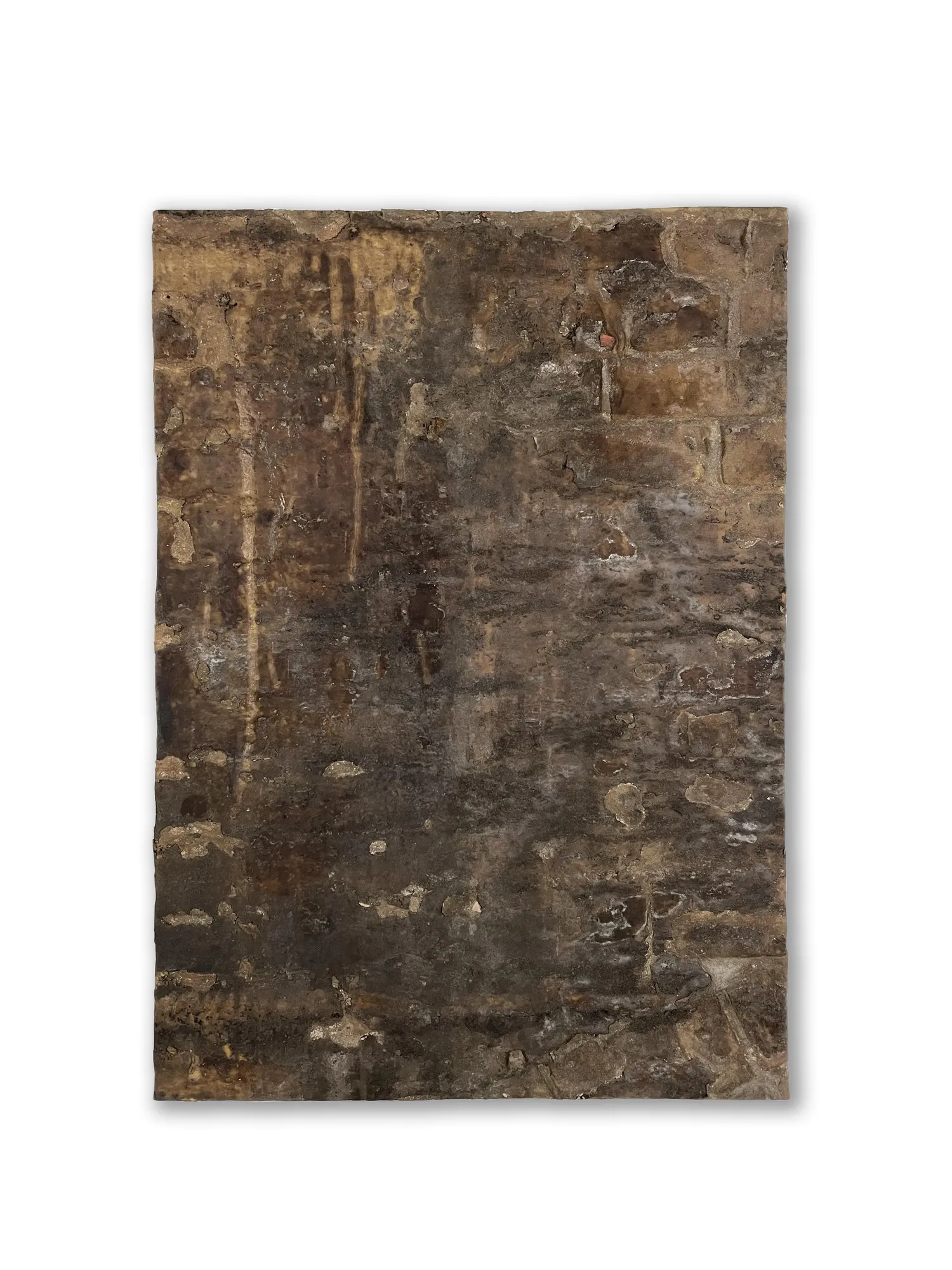 Jorge Otero-Pailos, Distributed Monument 71 [From The Ethics of Dust Series: U.S. Old Mint, San Francisco, CA], 2015