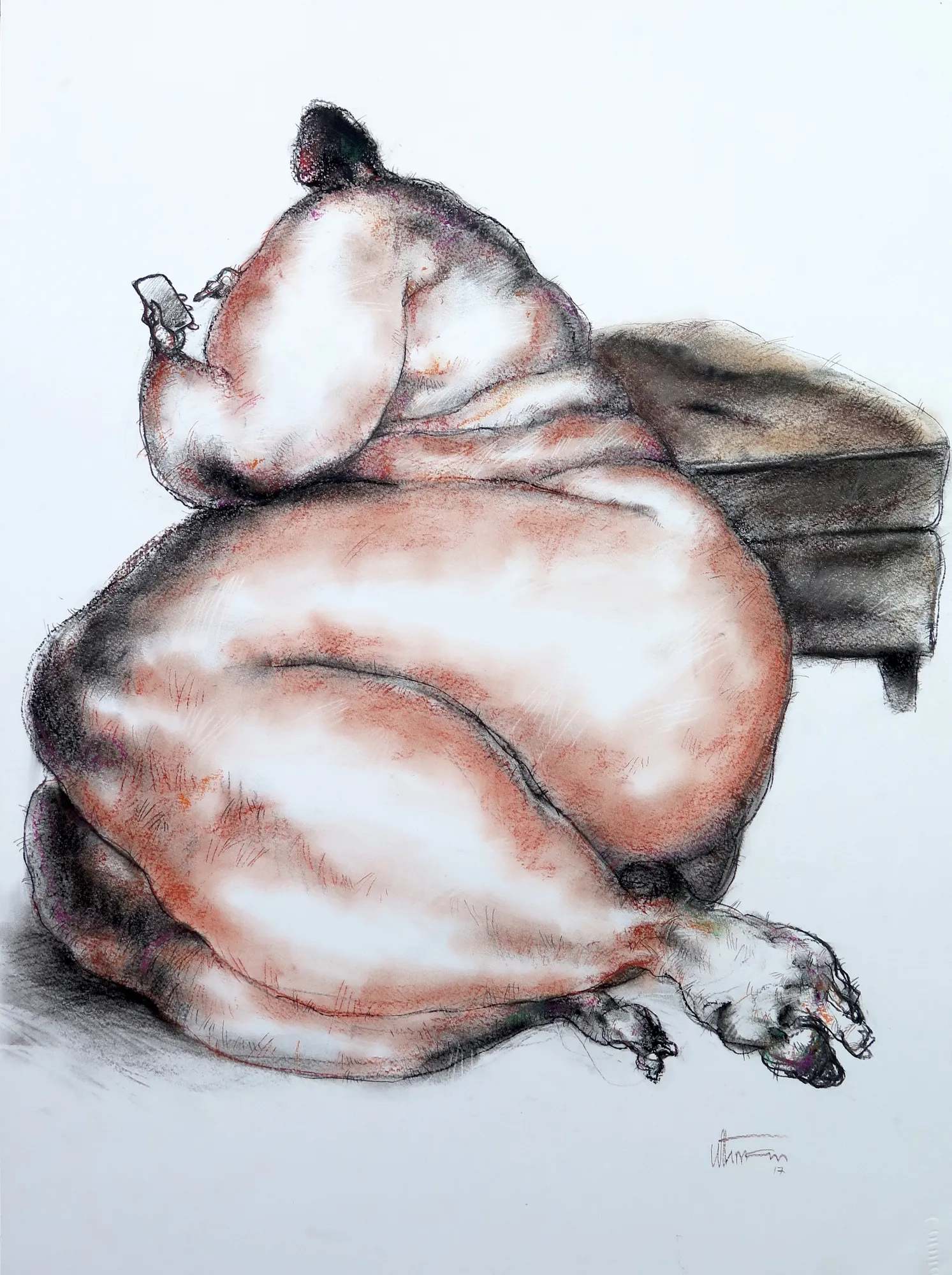 Uthman Wahaab, Checking Feeds, 2017