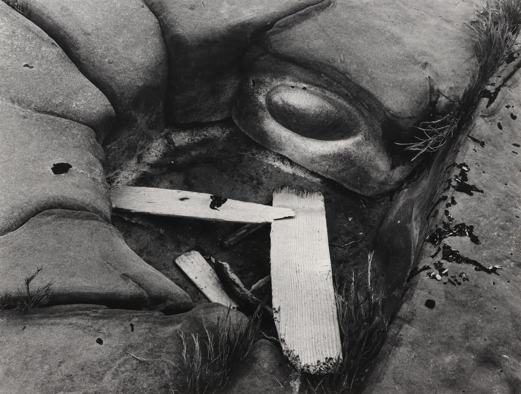 Minor White, Driftwood and Eye, Point Lobos, CA, 1951
