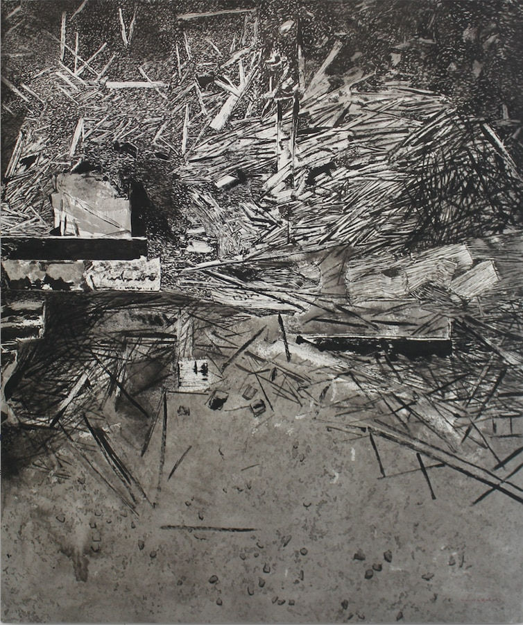 Gayan Prageeth, Apperceiving 1983 V, 2017