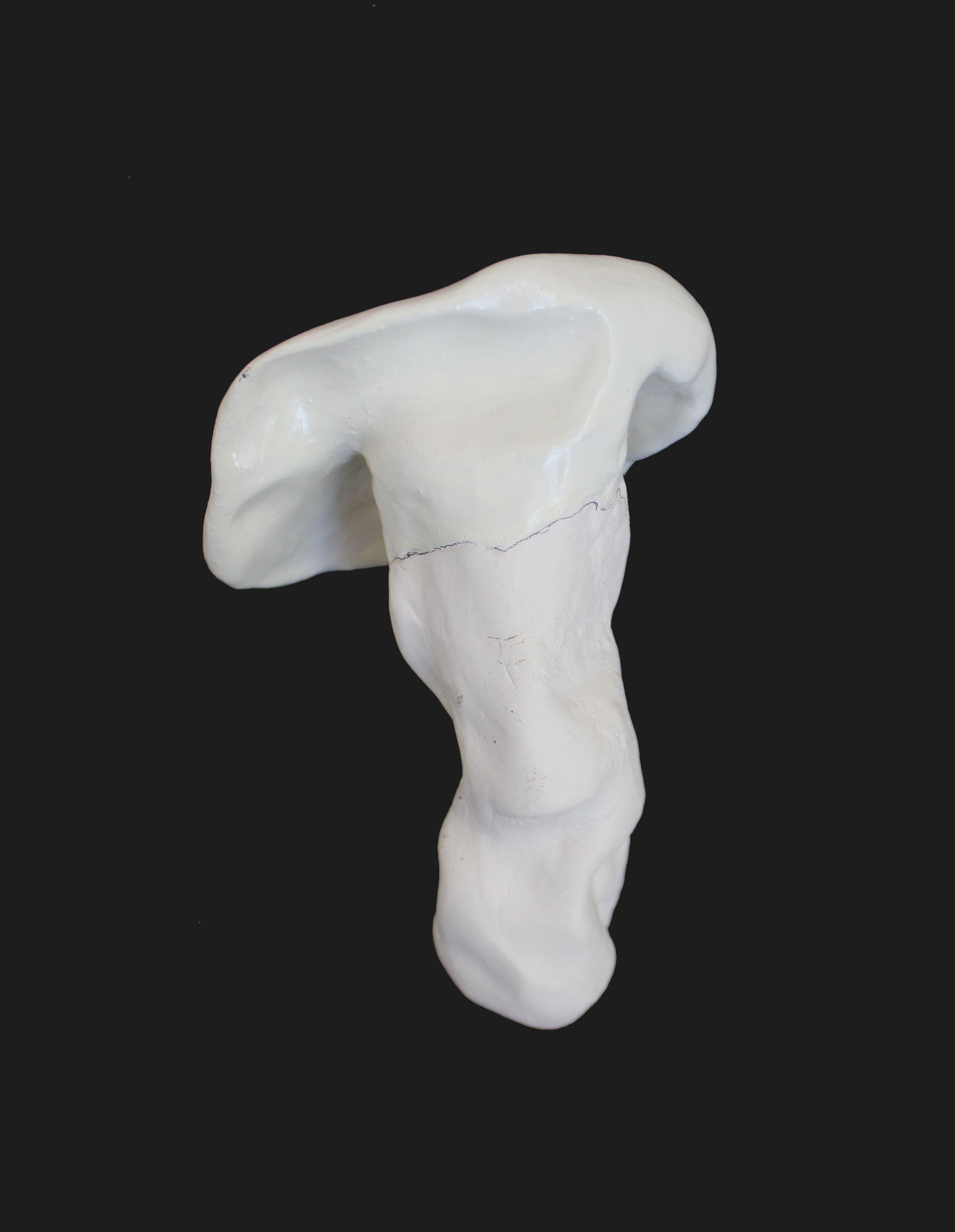 Fabienne Francotte, Still Life | Nature Morte 9, 2022