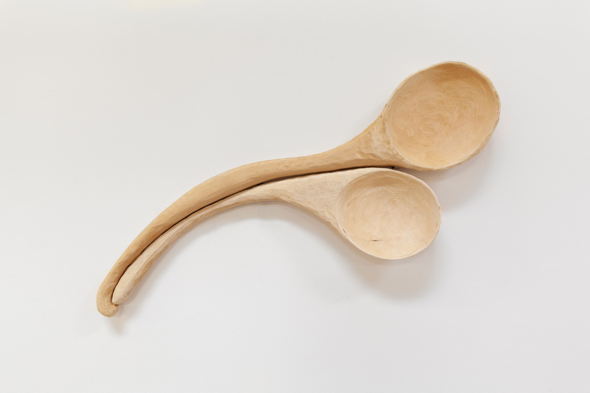 Fay Ray, Goya's Kitchen II, 2020