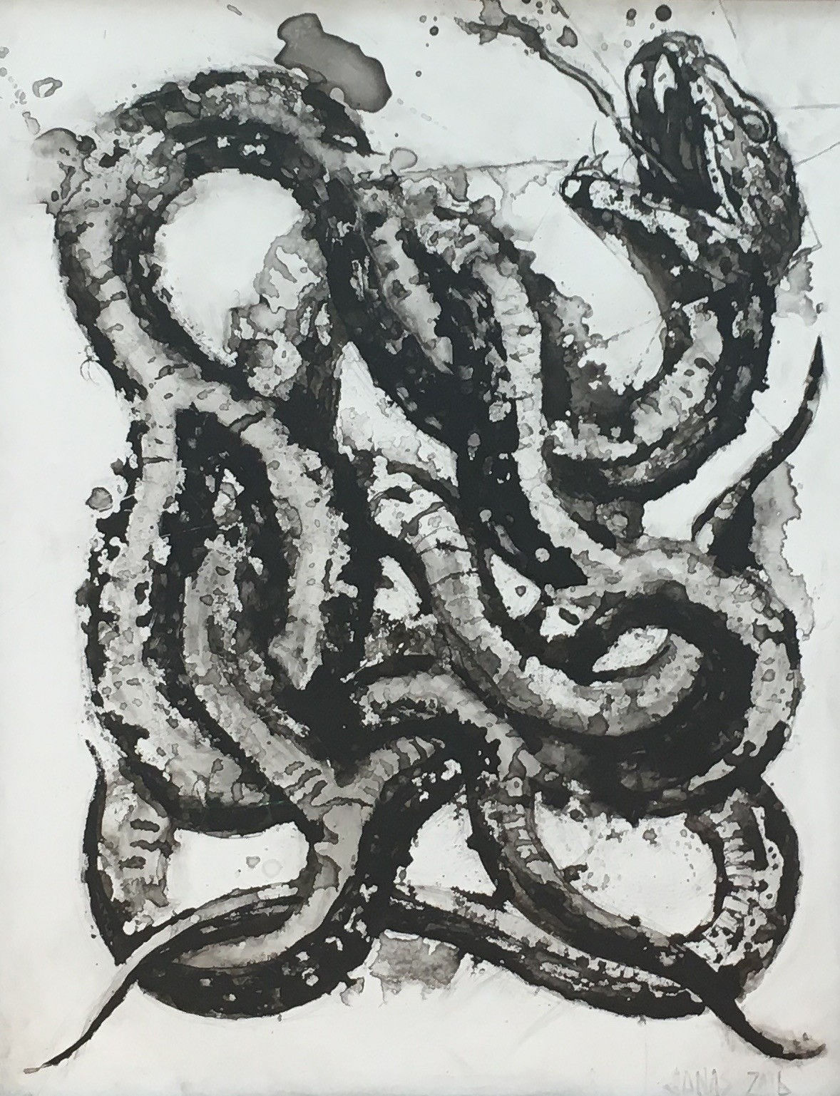 Jonas Fahnestock, Snake, 2016