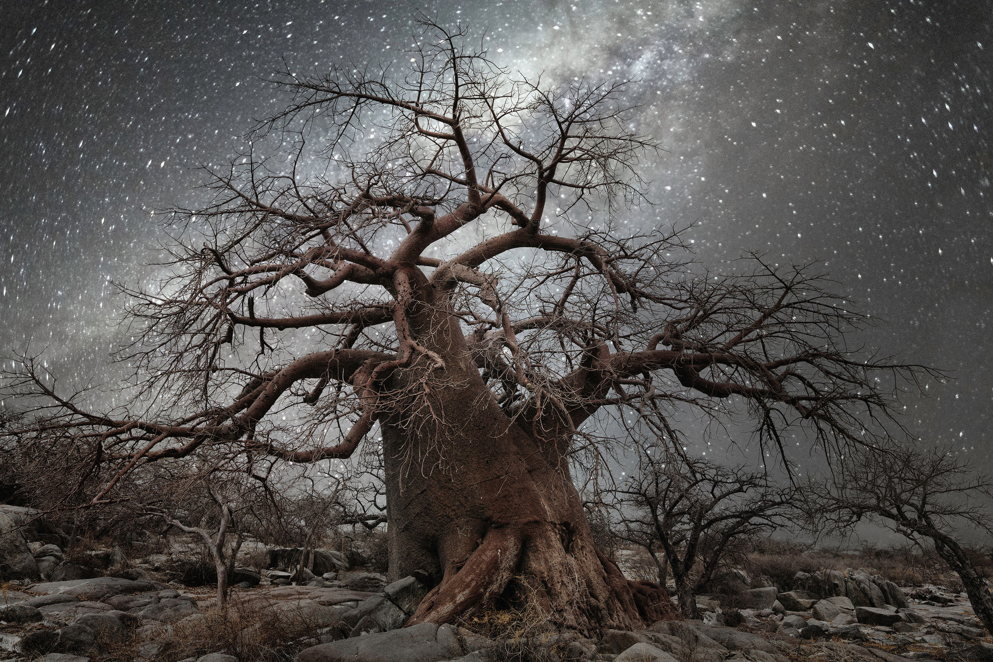 Beth Moon, Octans, 2013