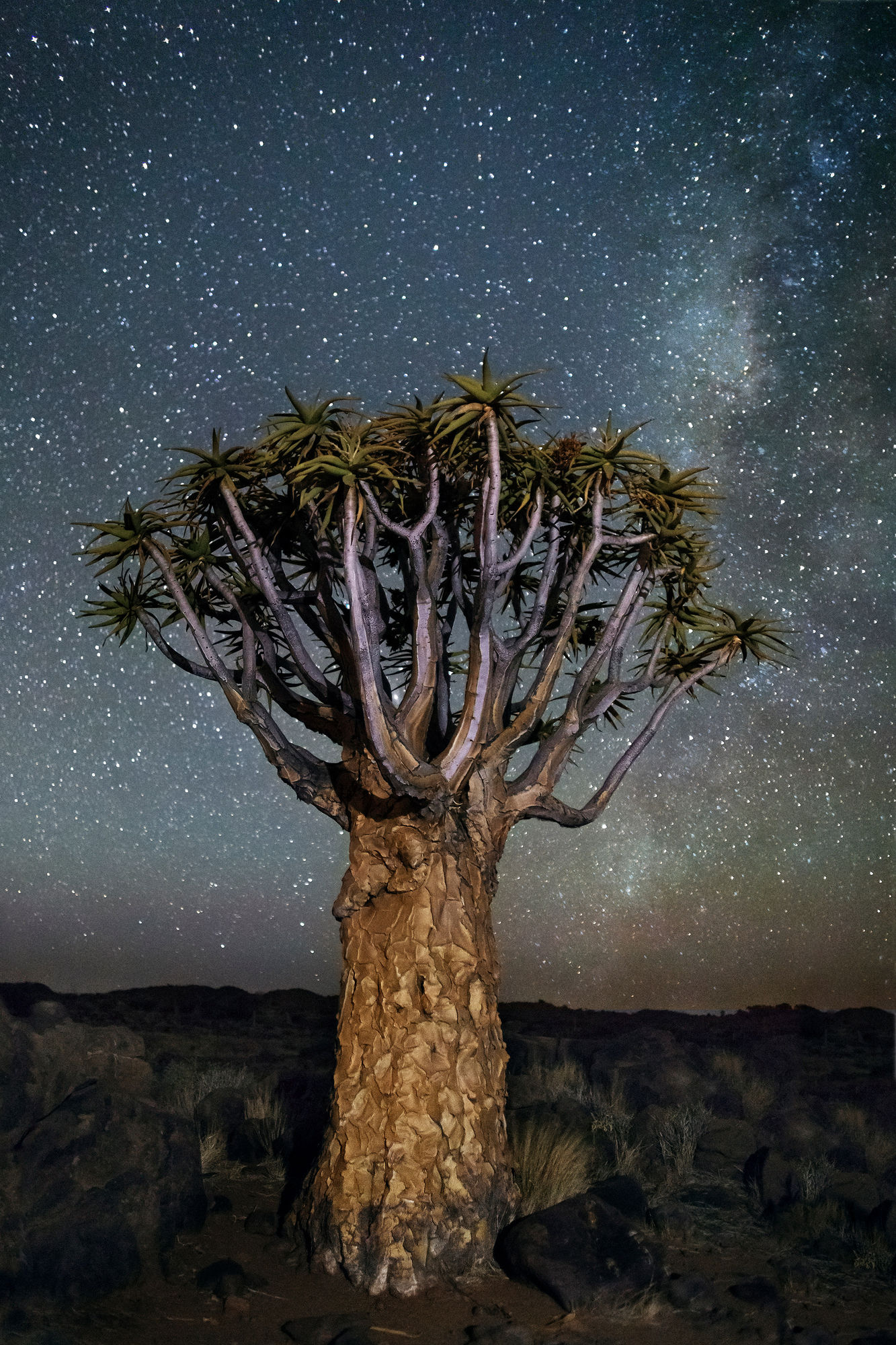 Beth Moon, Serpens, 2013