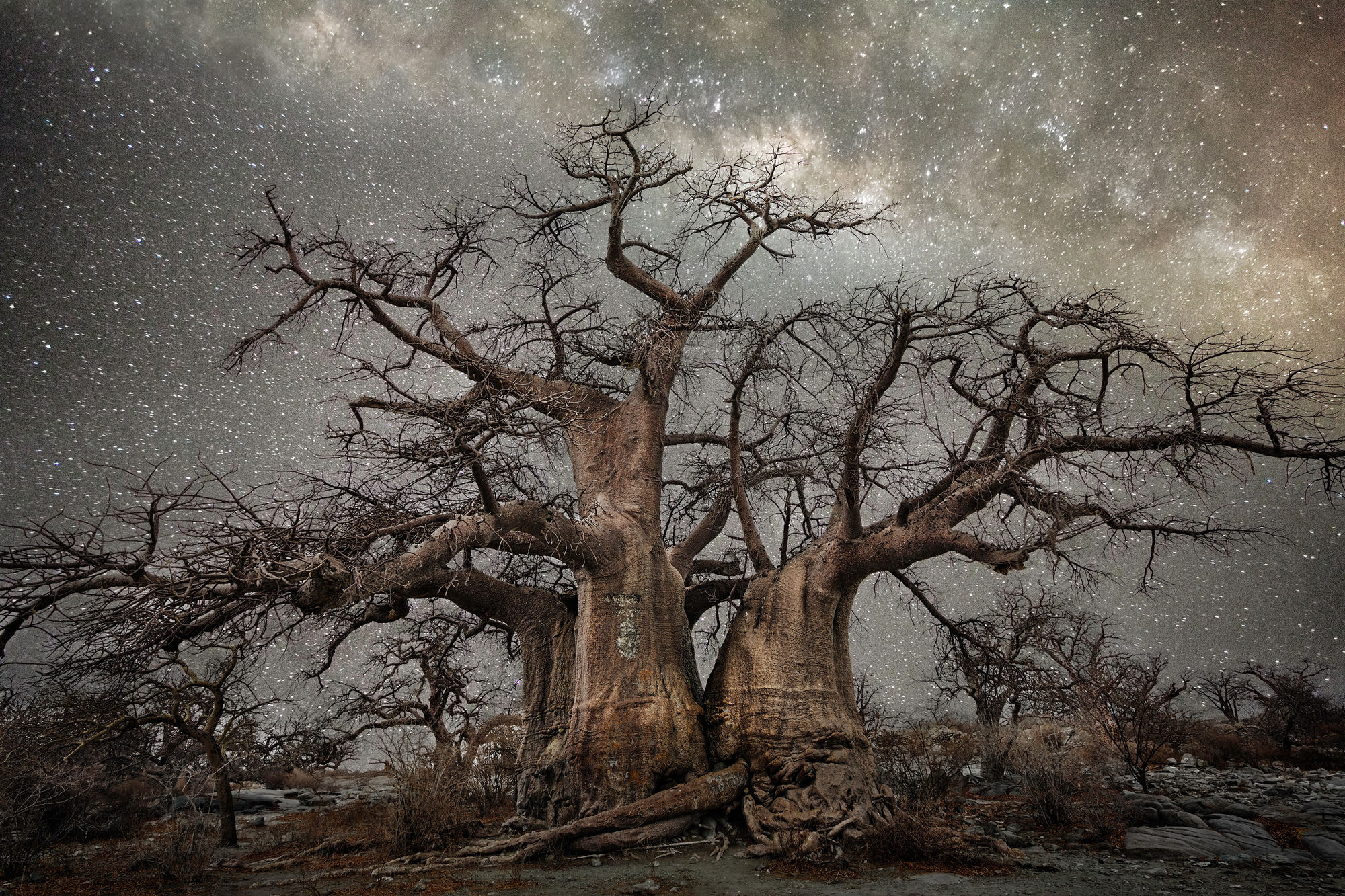 Beth Moon, Fornax, 2013