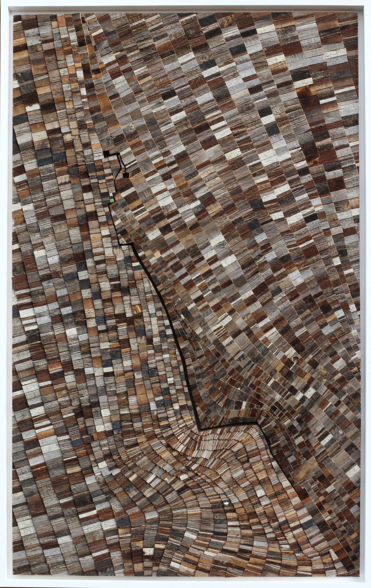 Wycliffe Stutchbury, The Rodd, 2020