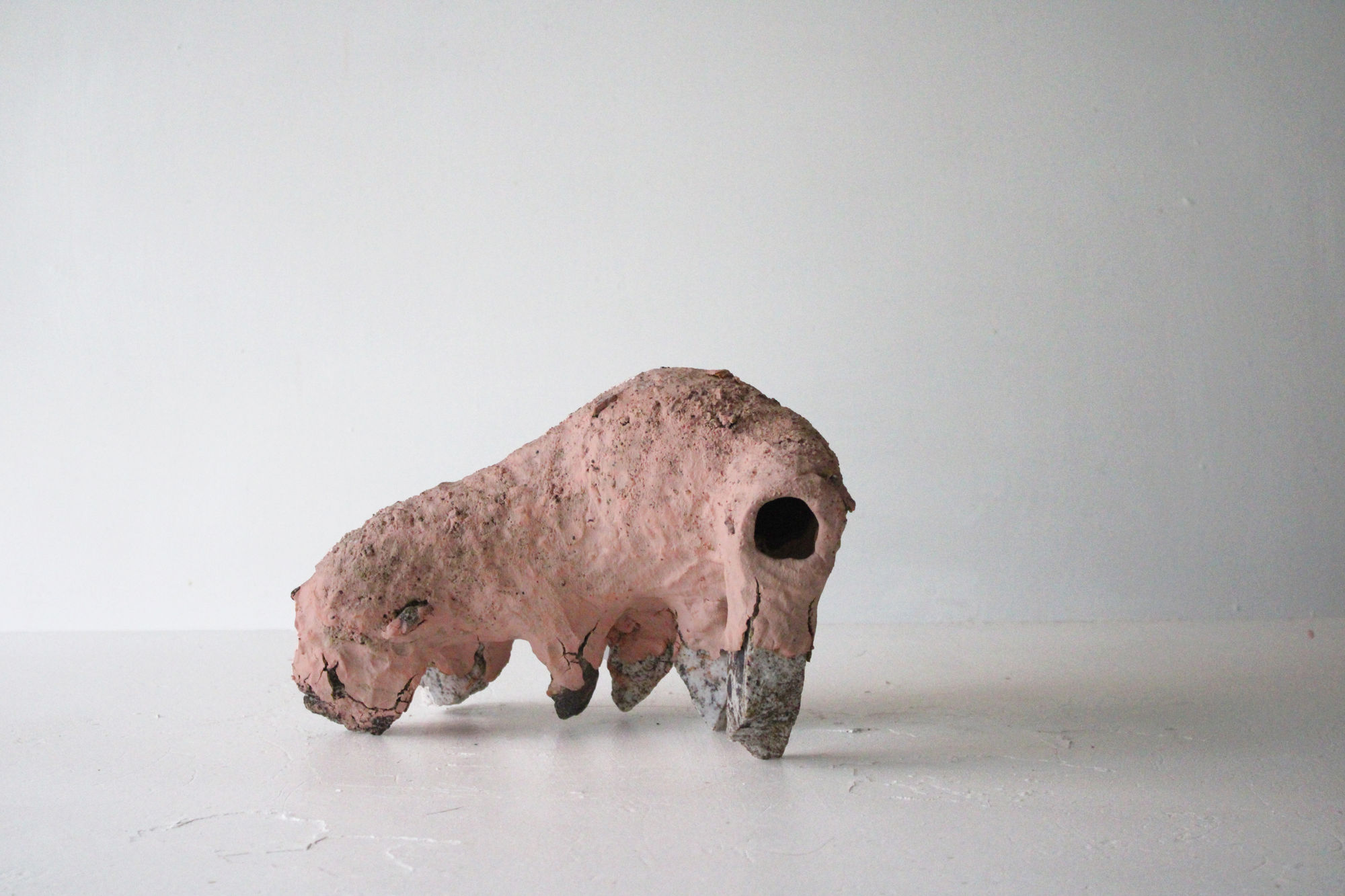 Aneta Regel, Rana, 2024