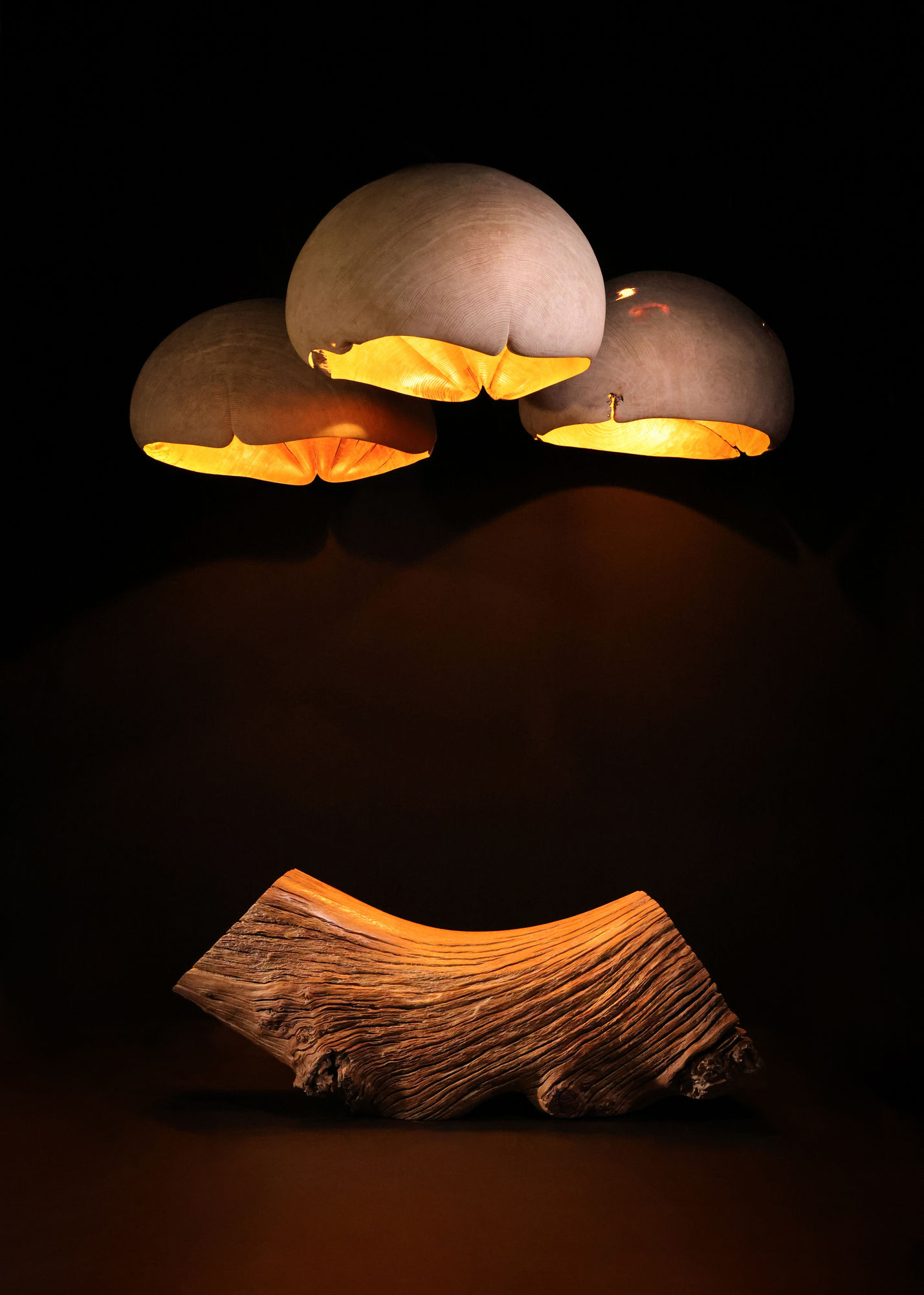 Nic Webb, Yasu Kumo Pendant II, 2024