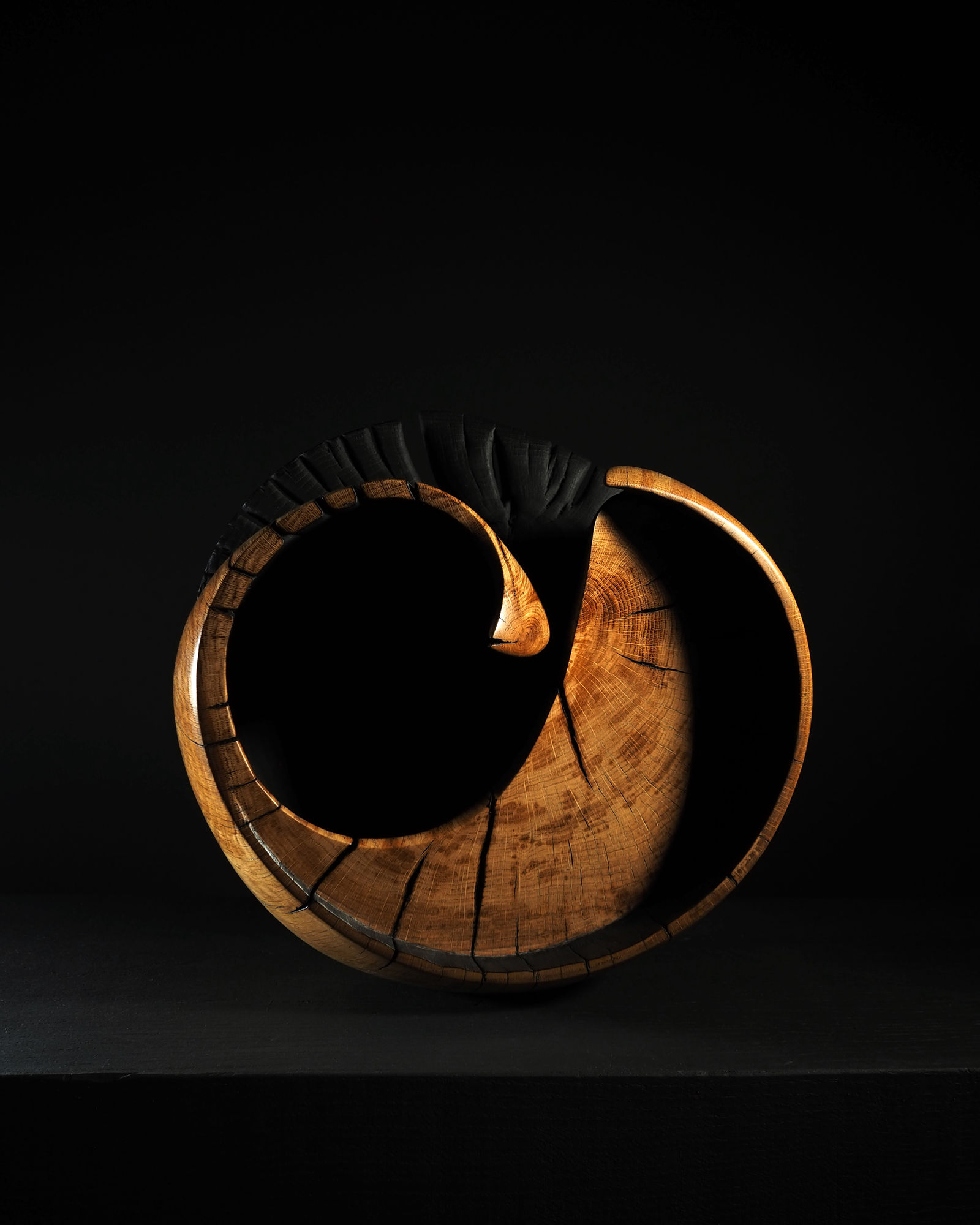 Nic Webb, Koru I, 2020