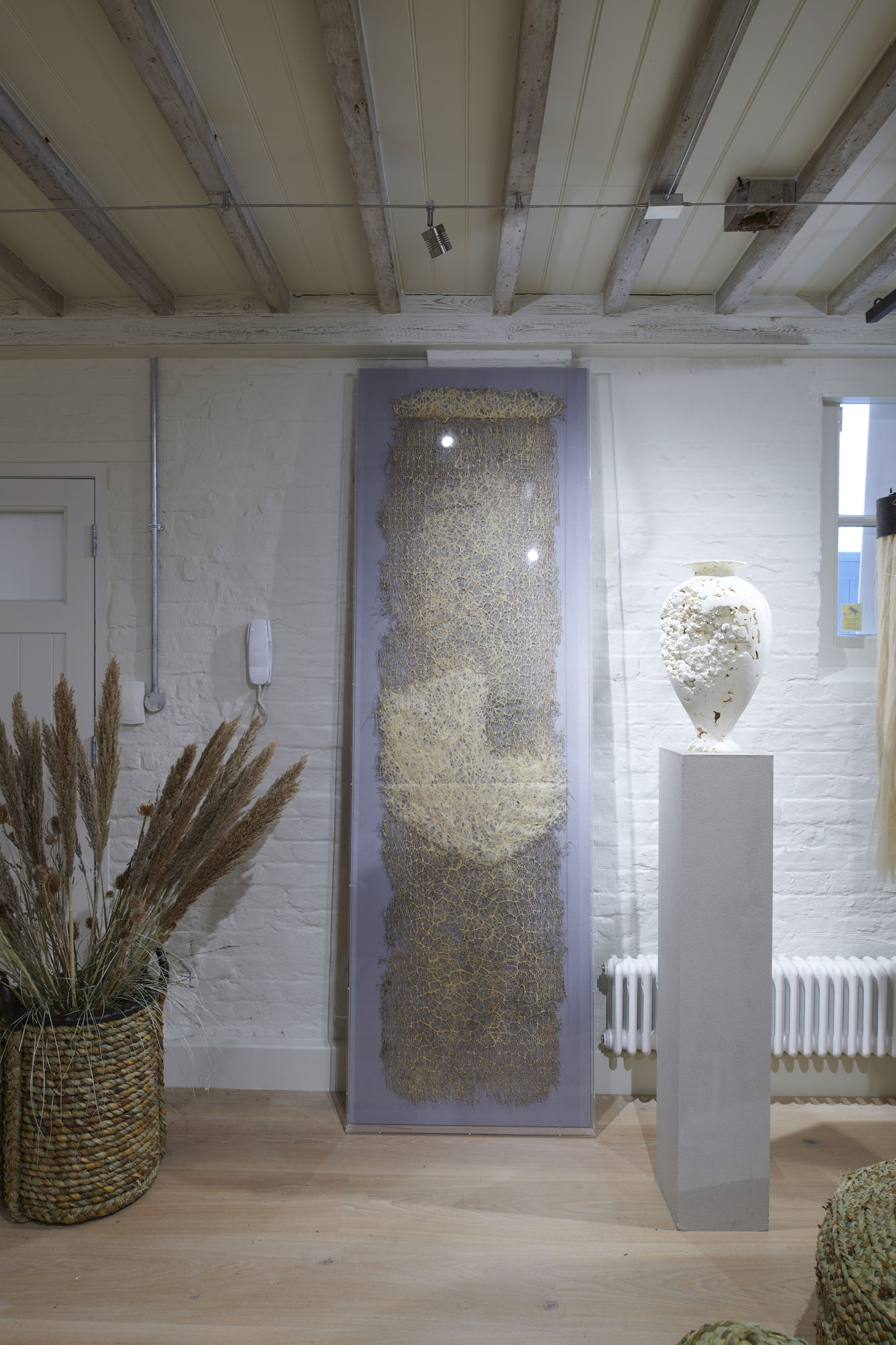 Diana Scherer, Exercises in Rootsystem Domestication I, 2020