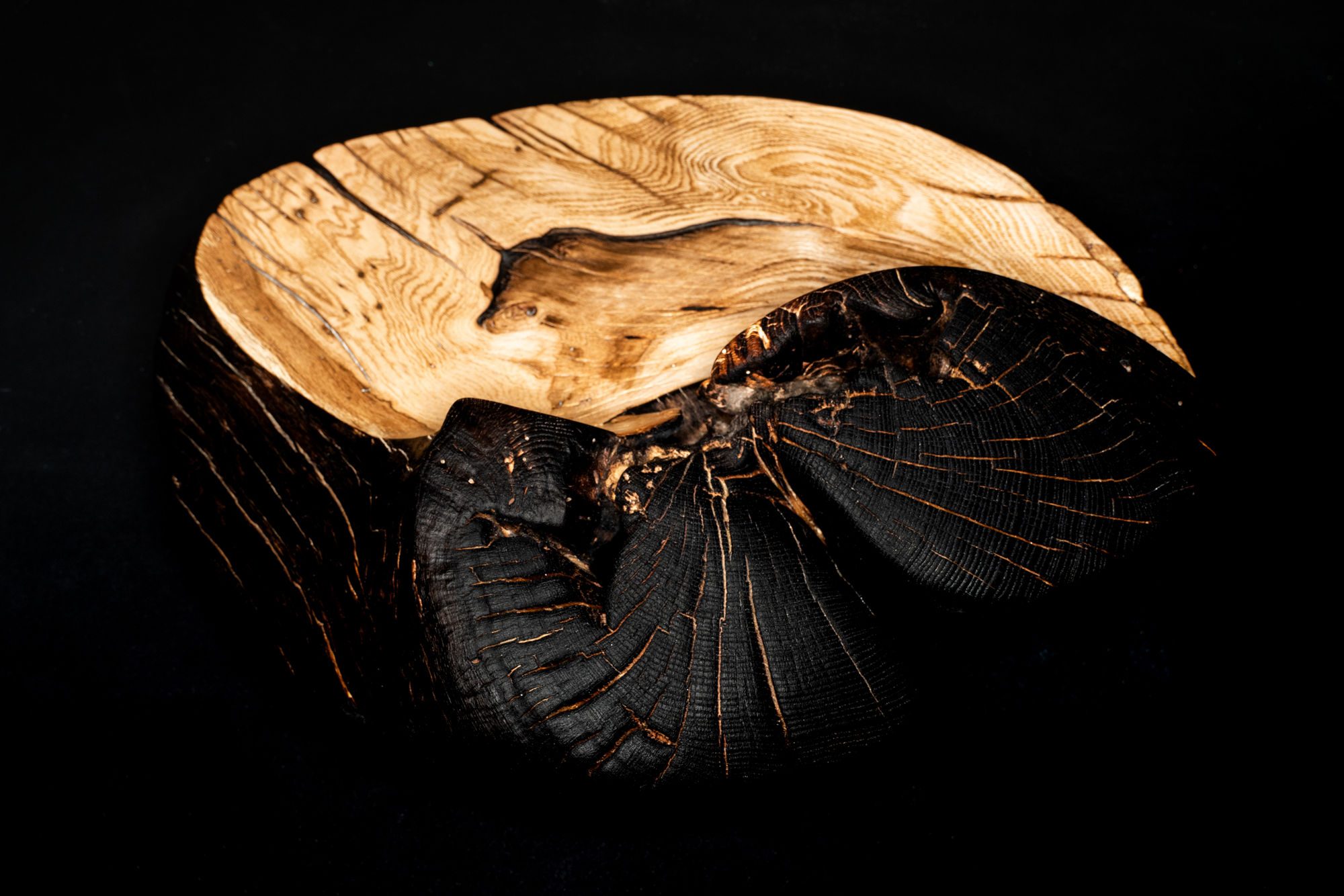 Nic Webb, Oku (chair) , 2023