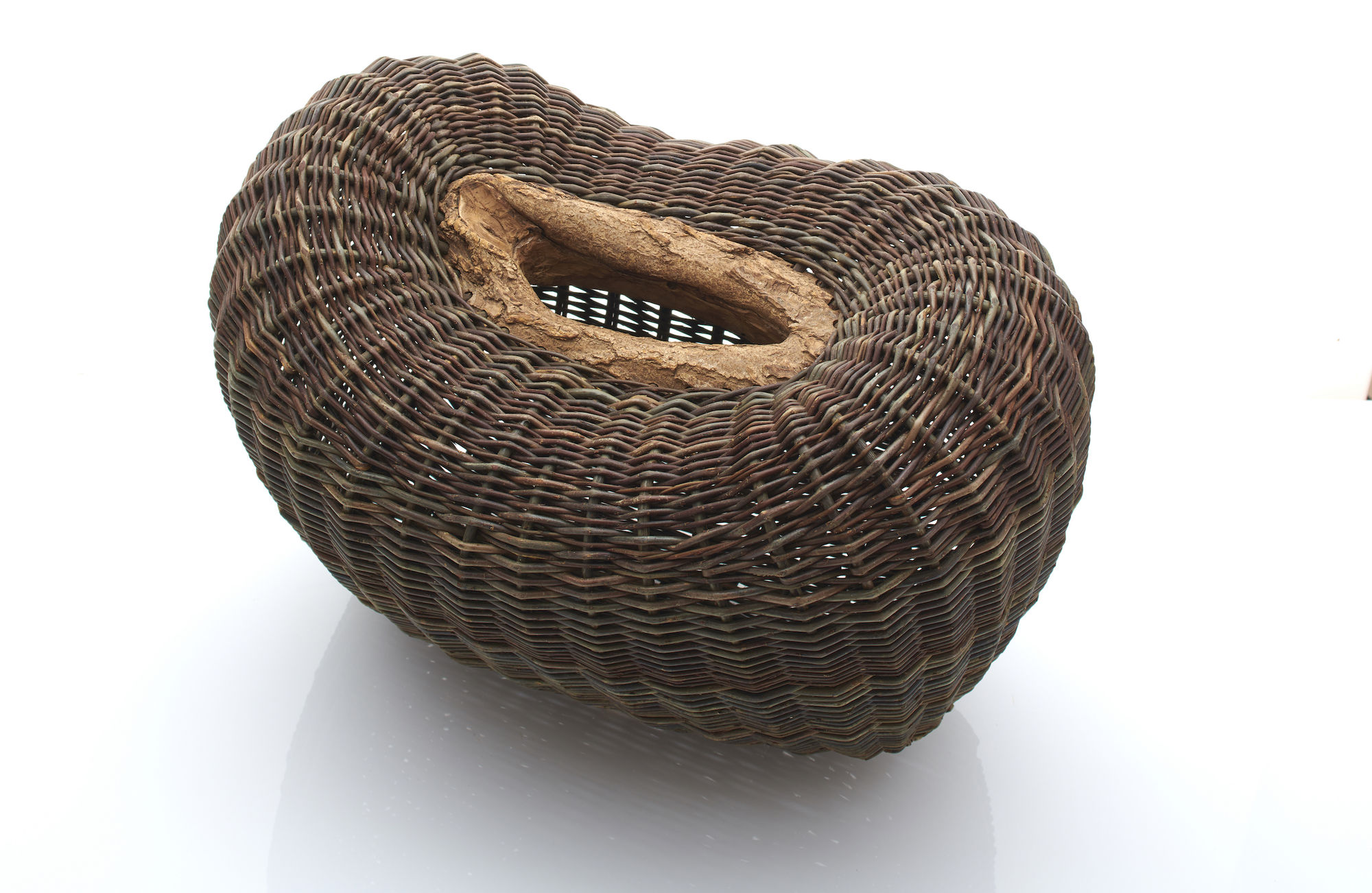 Joe Hogan, A Pod On Old Willow Wood, 2020