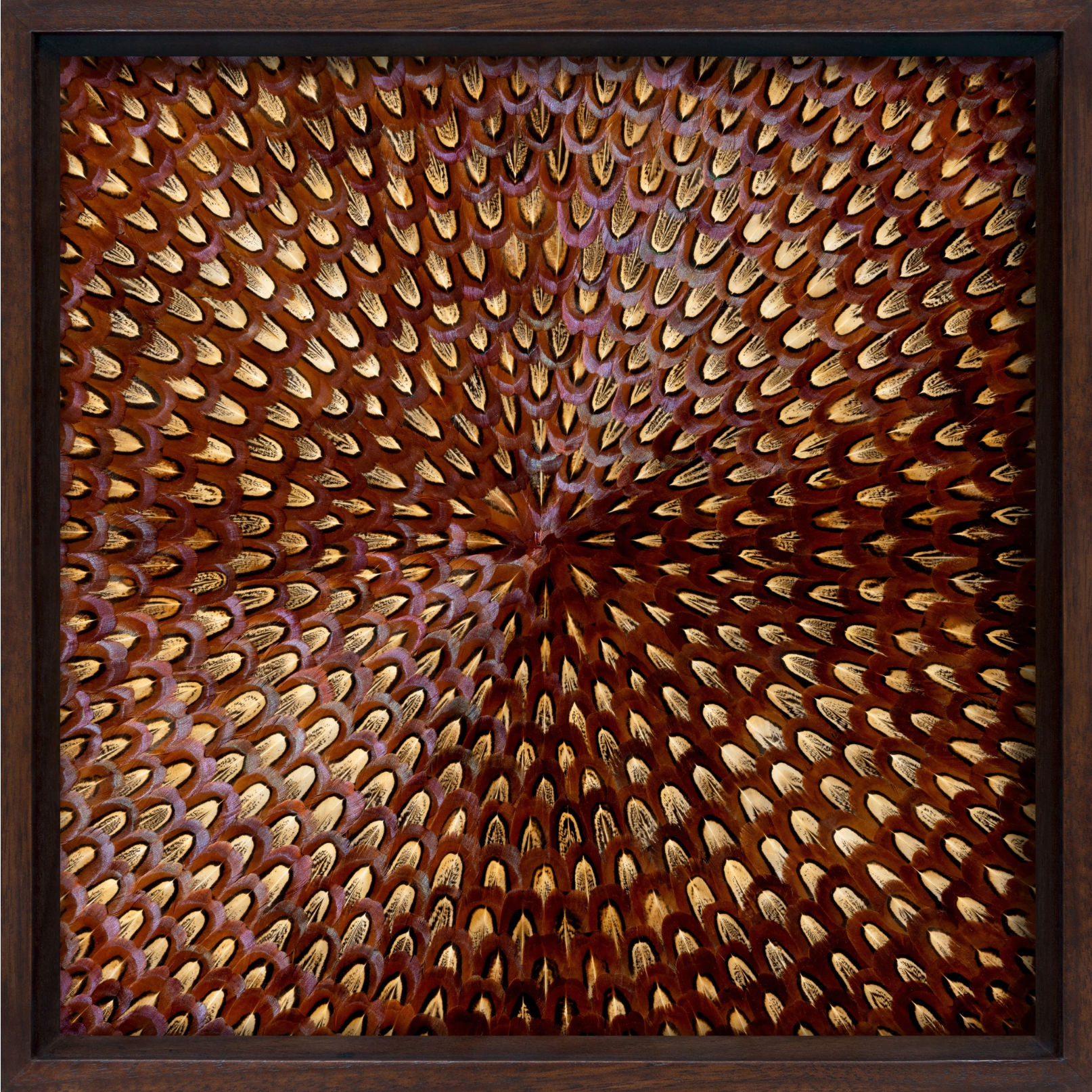 Kate MccGwire, Throb, 2023