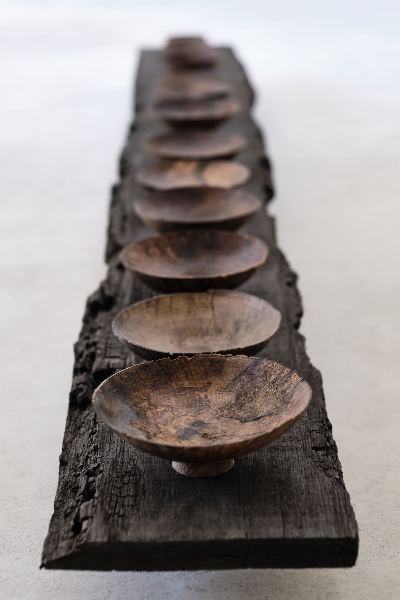 Max Bainbridge / Forest+Found, Ascension, 2021