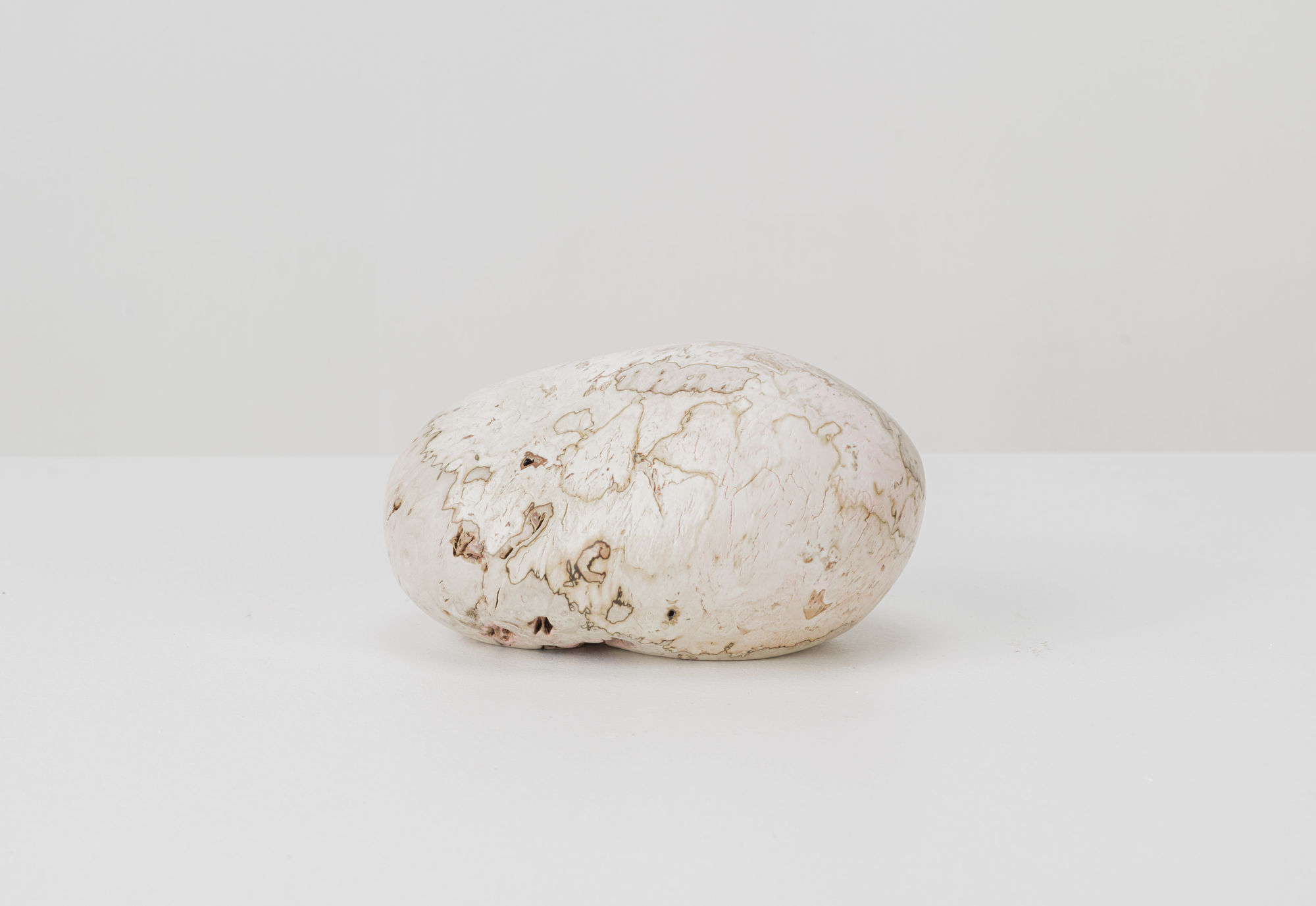 Julian Watts, Bean , 2022