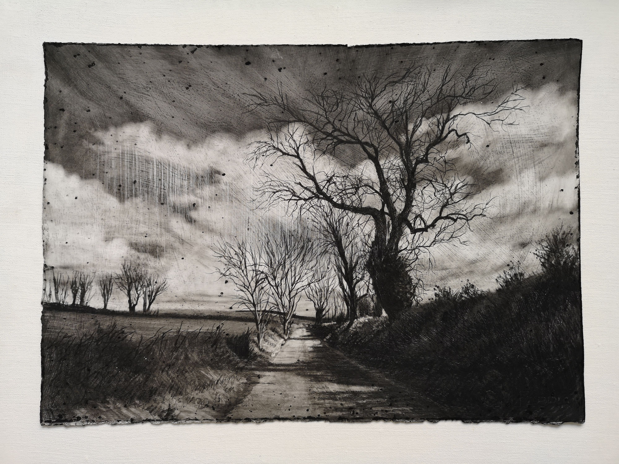 Michael Wann, Autumn Rain on the Road to Water