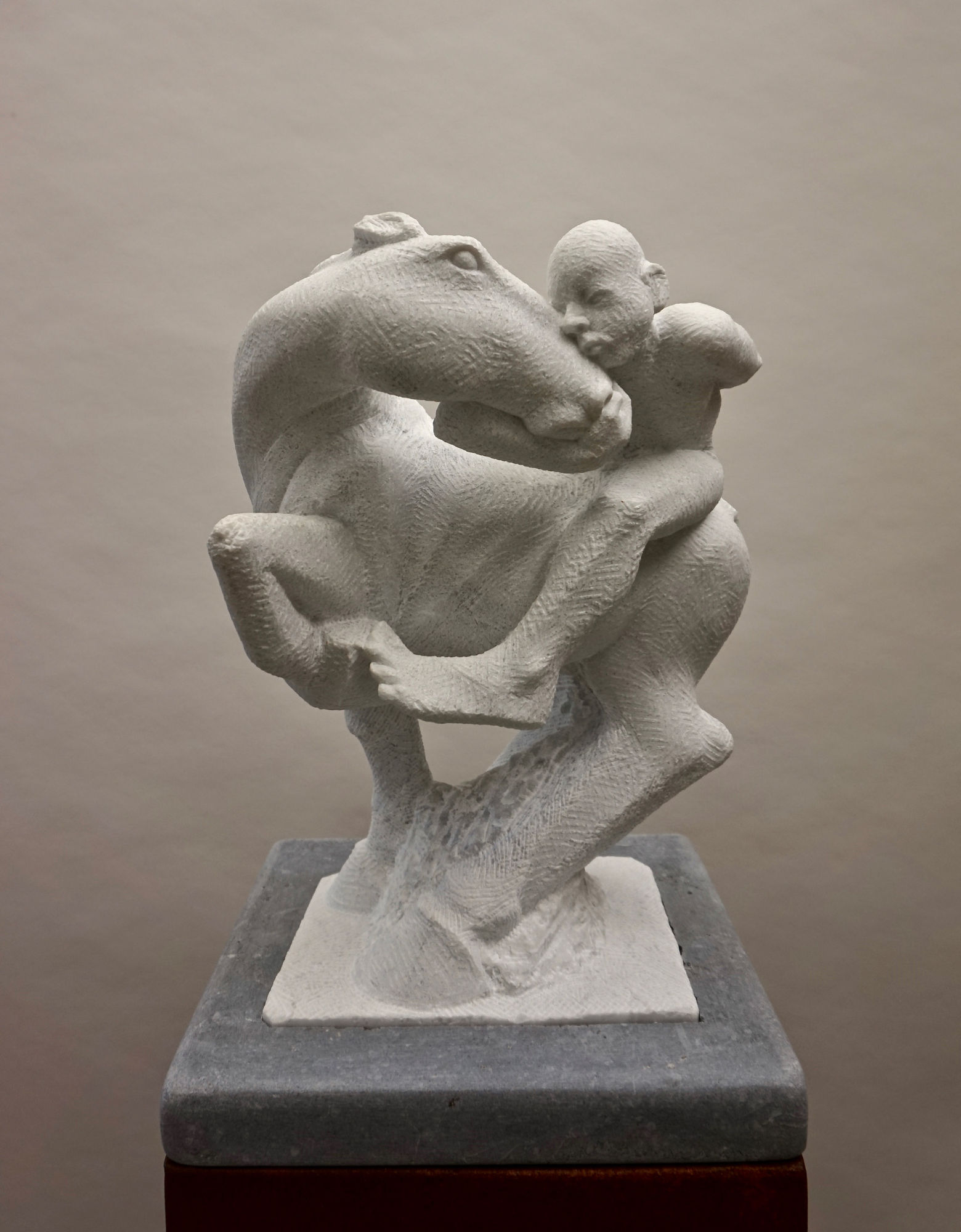 Michael Quane RHA, Horse and Rider