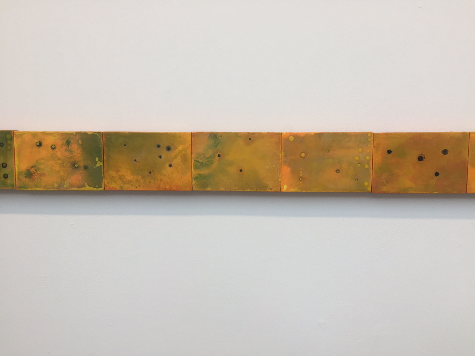 Cléa van der Grijn, Marigold Fields IV