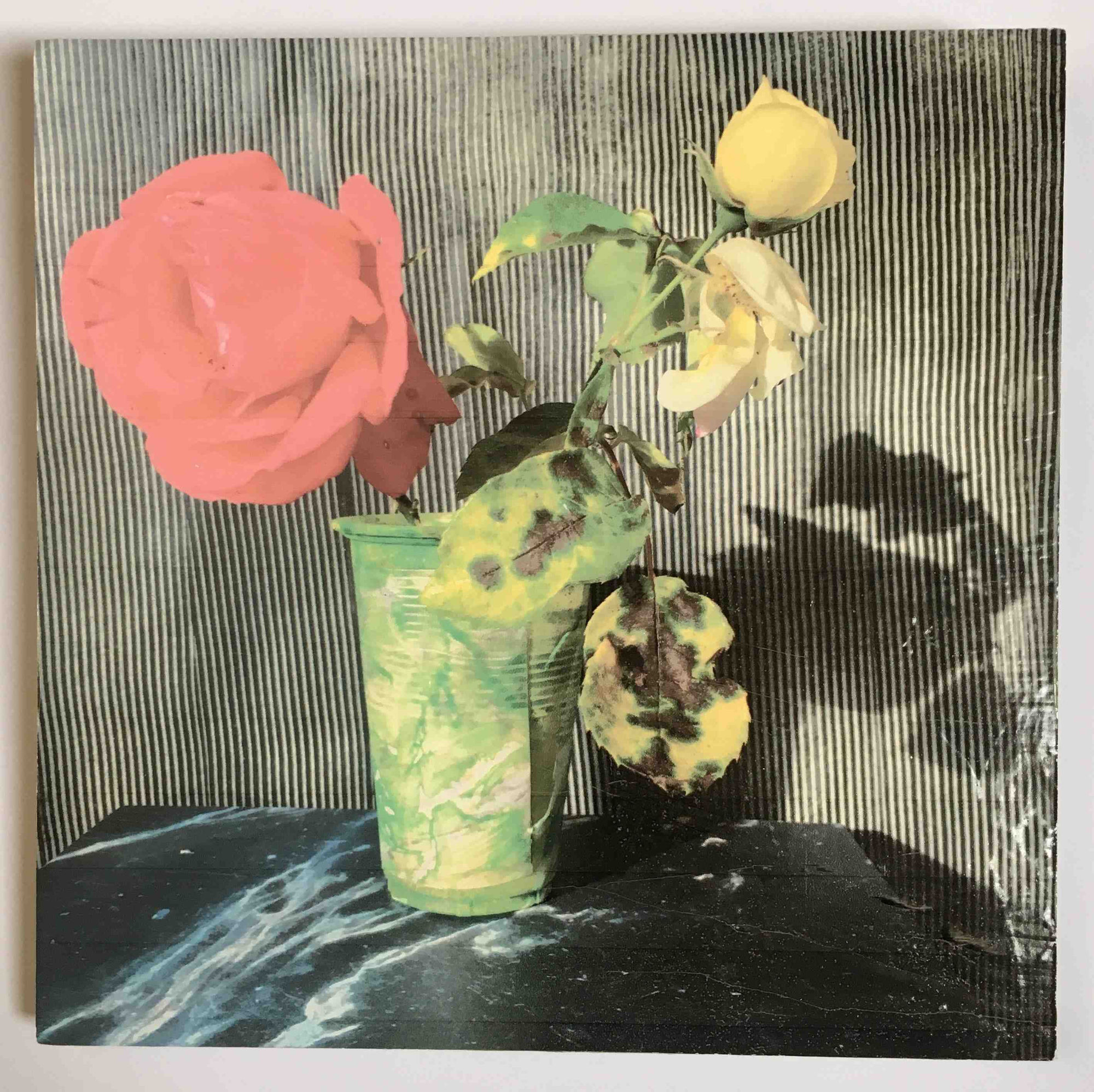 Austin Hearne, Sr. Peter, 2017