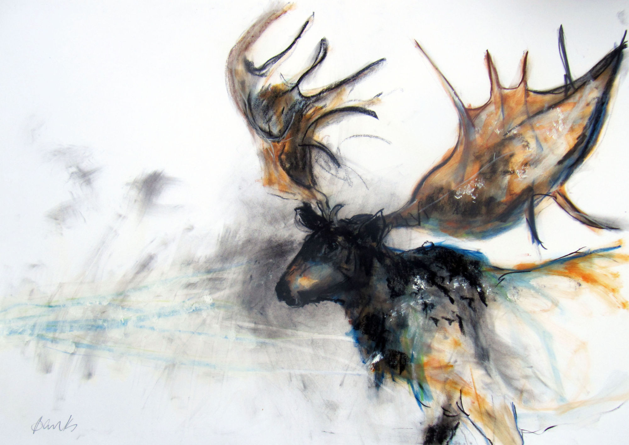 Margo Banks, Buried in the Bogland of Ireland