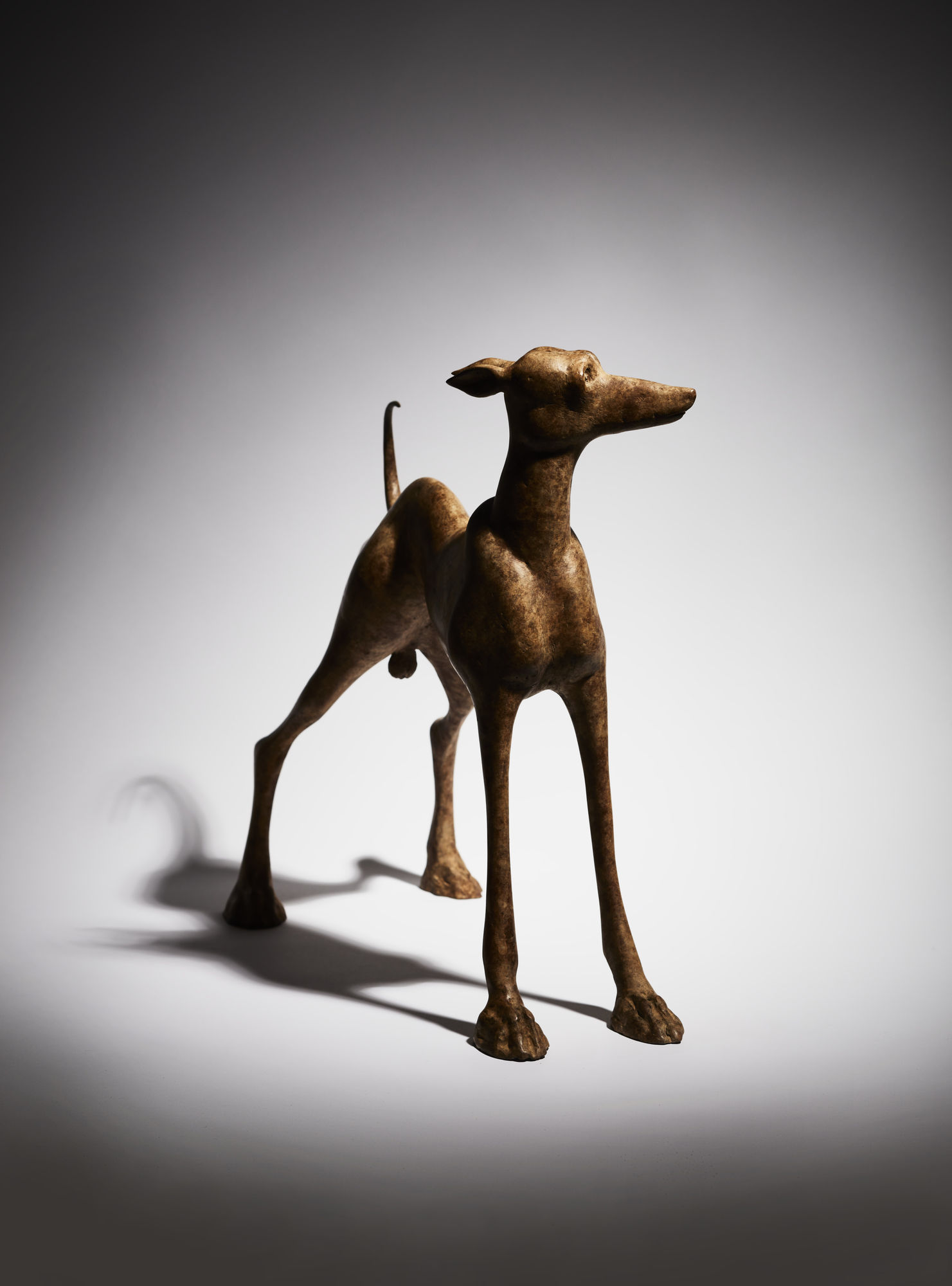 Anthony Scott RUA, Bran (The Clearing)