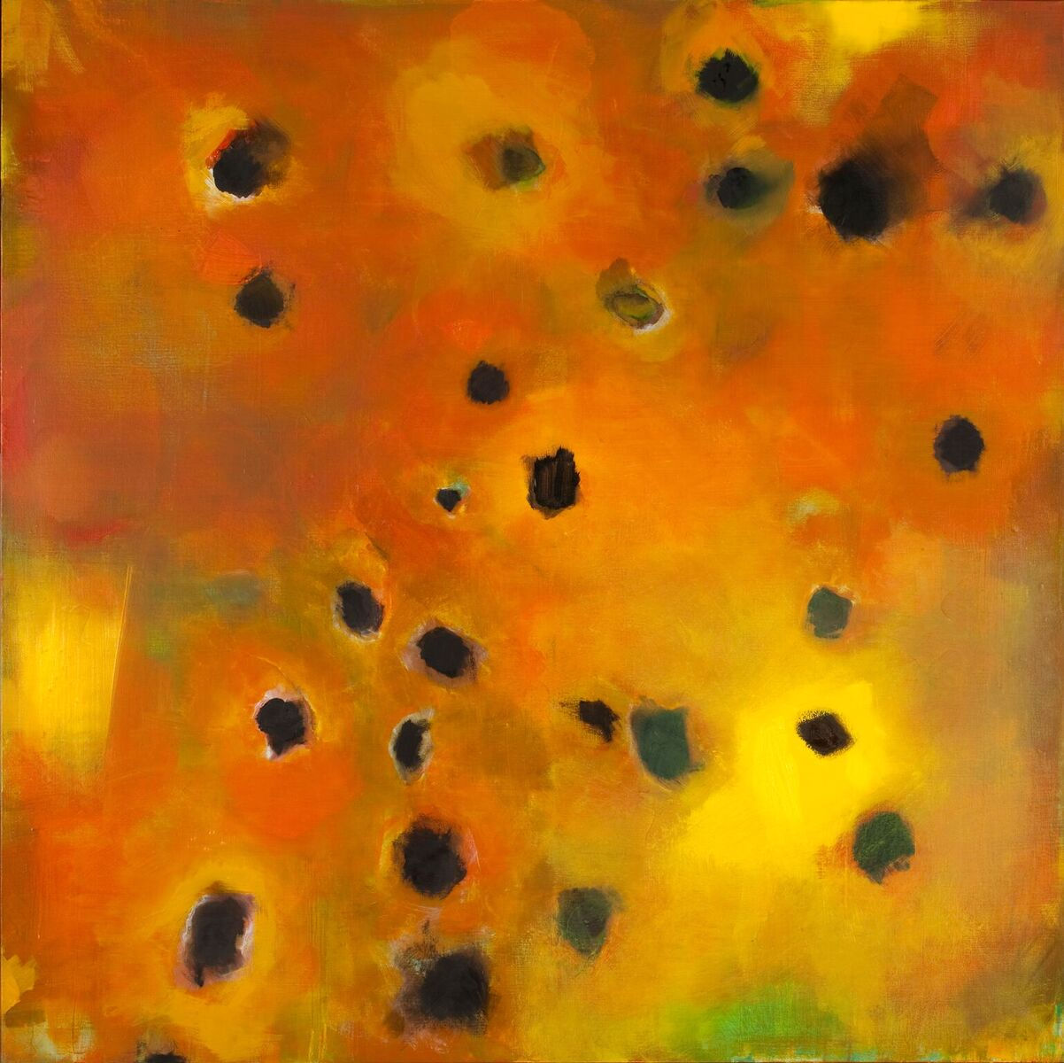 Cléa van der Grijn, Marigold Field 6