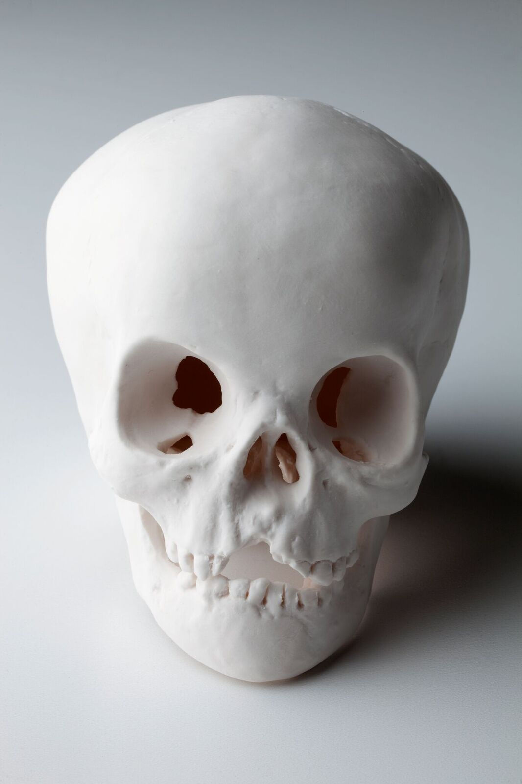 Cléa van der Grijn, Porcelain Skulls