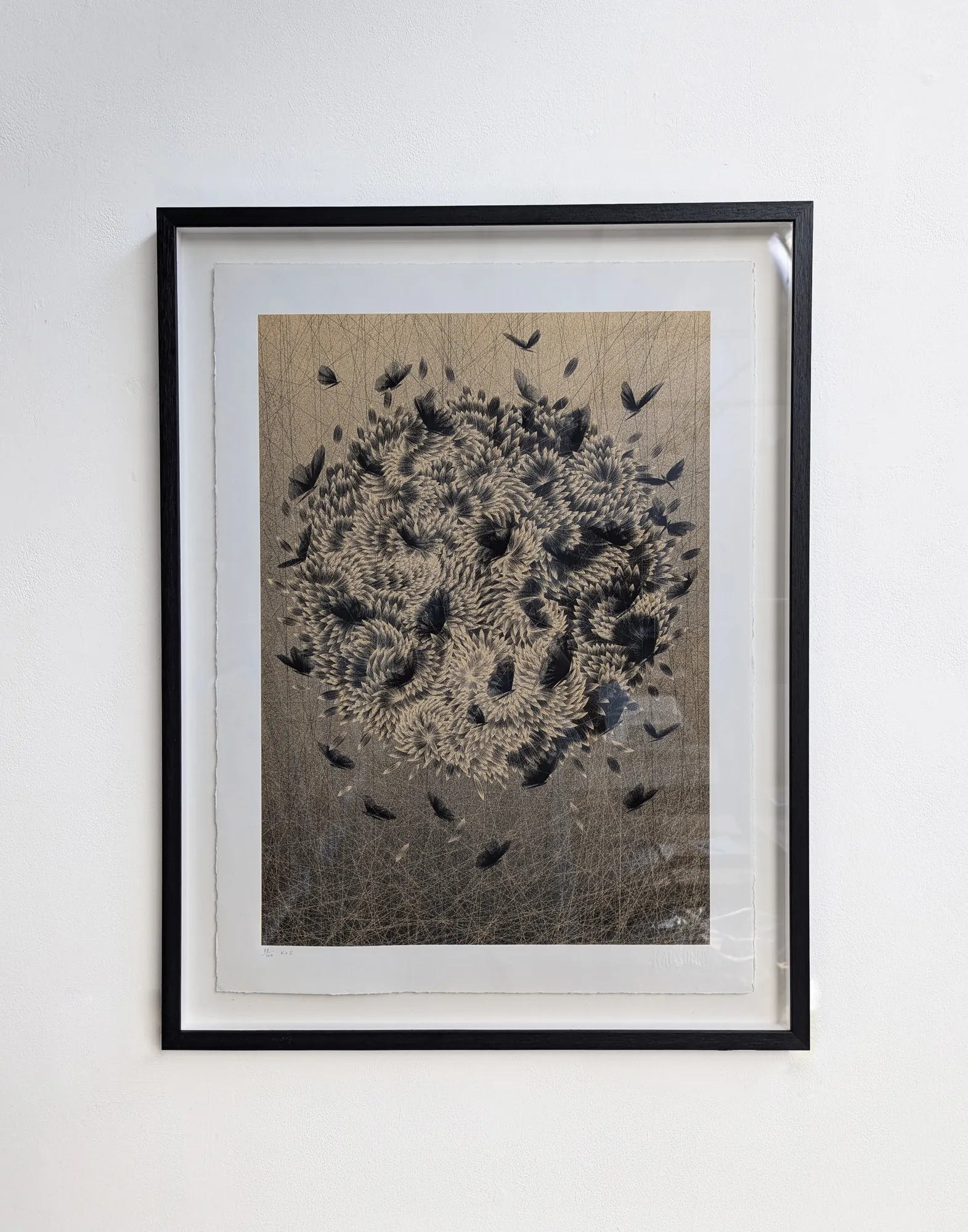 Kai & Sunny, Framed, Black Angels (Light Copper), 2014