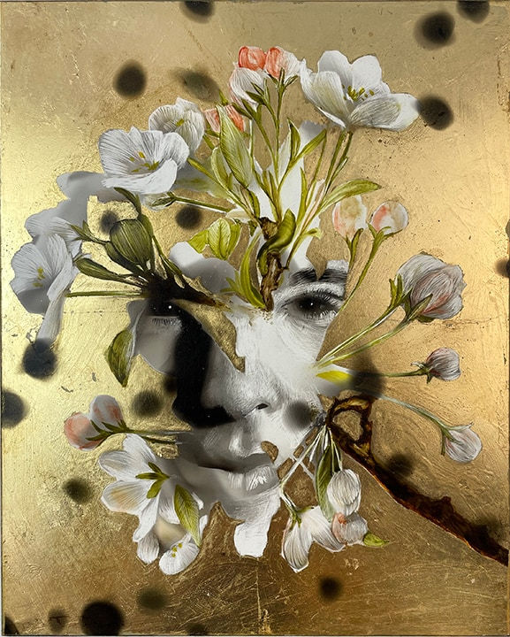 Steven Spazuk, Sigrid