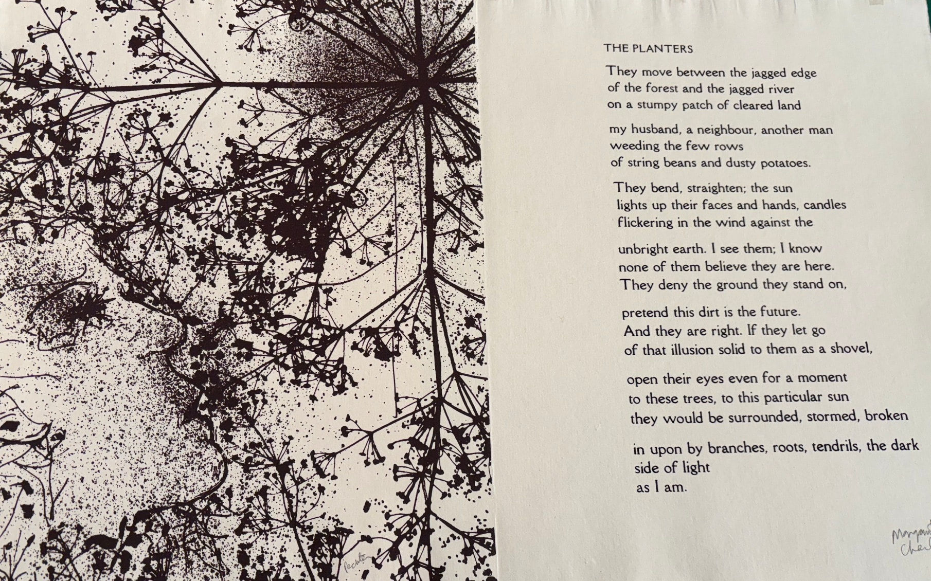 Charles Pachter, THE PLANTERS