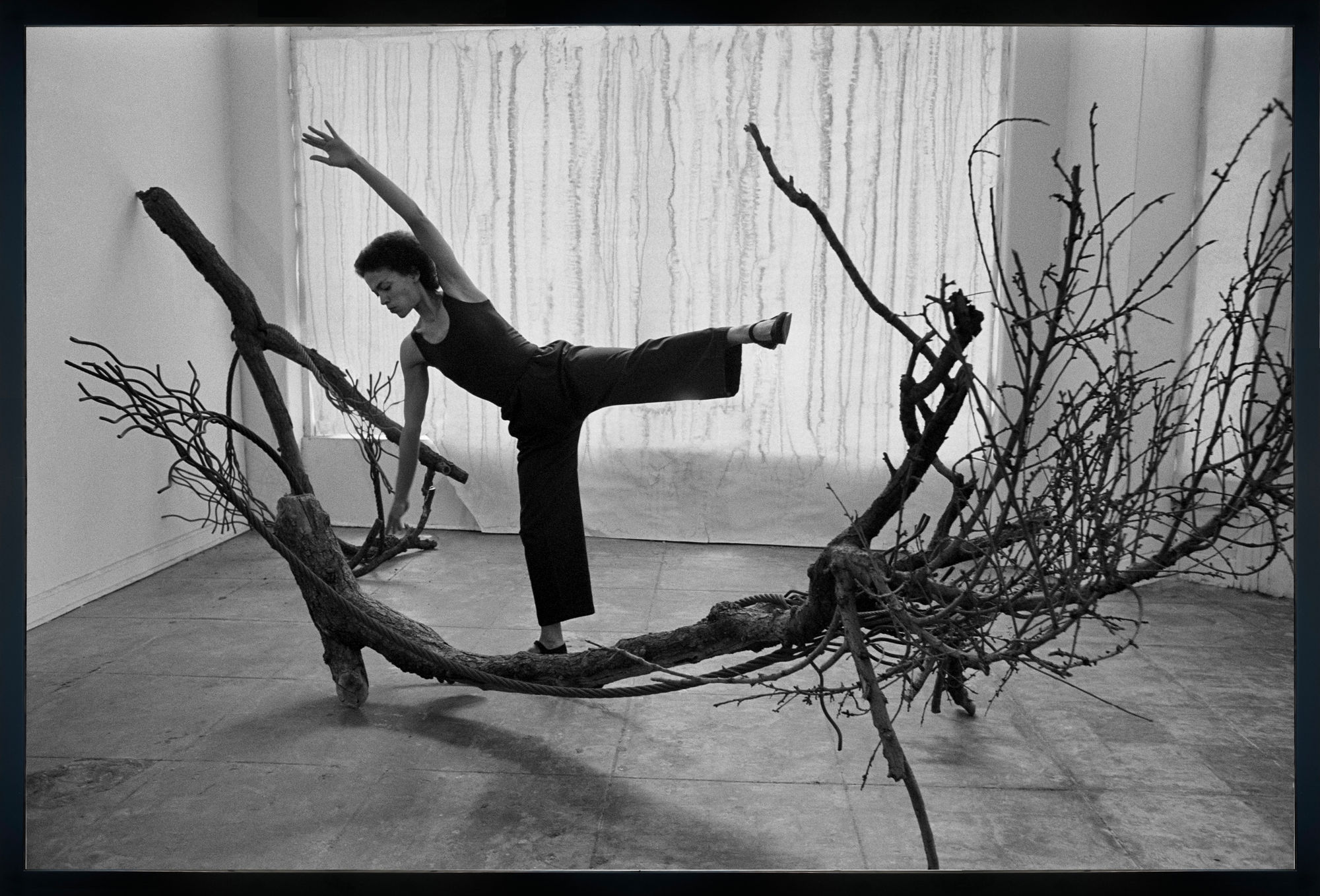 MAREN HASSINGER, Tree Duet I, 5617 San Vicente Blvd, Los Angeles, c. 1977/2021.