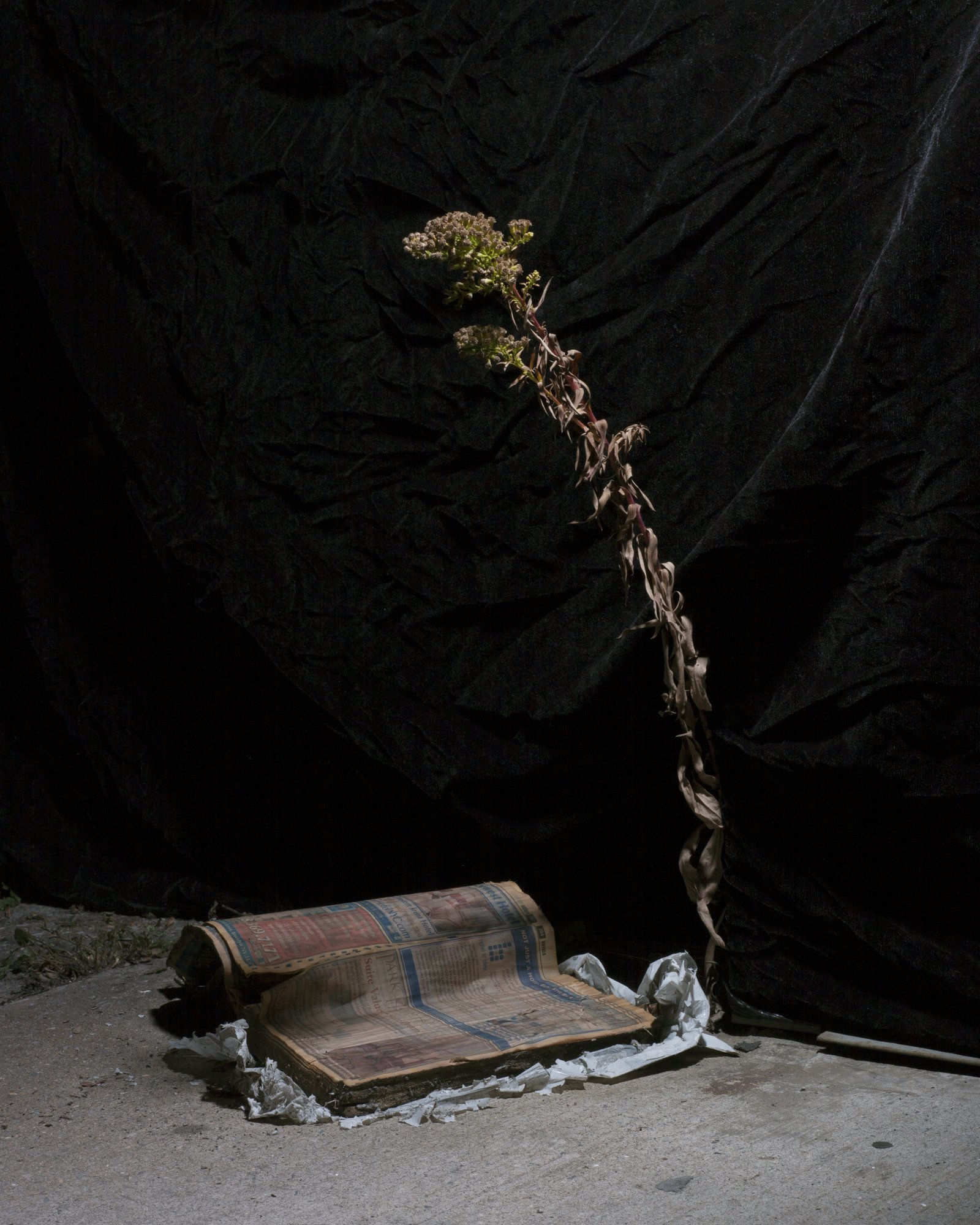 MICHAEL VAHRENWALD, Untitled, 2013