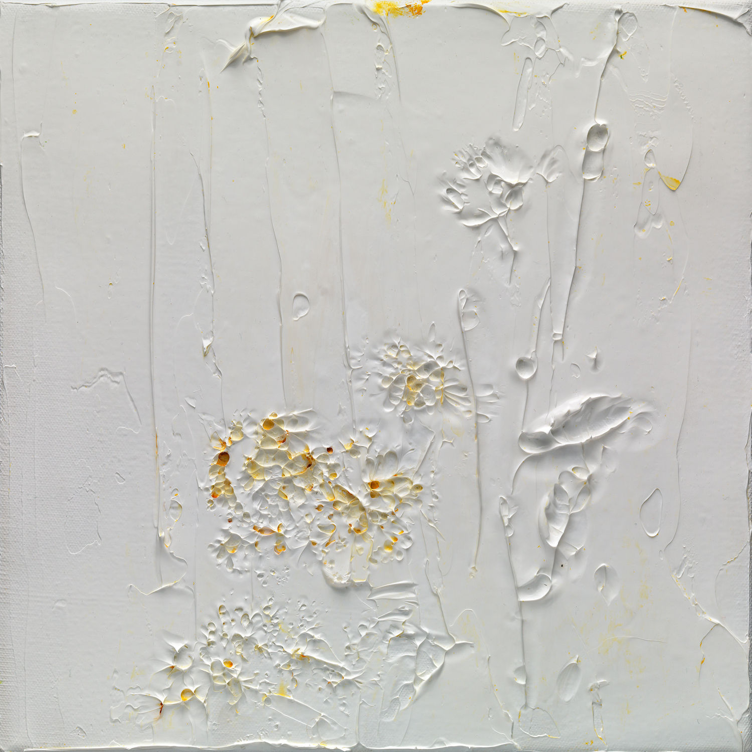 Susan Swartz, Nature Revisited 6, 2016