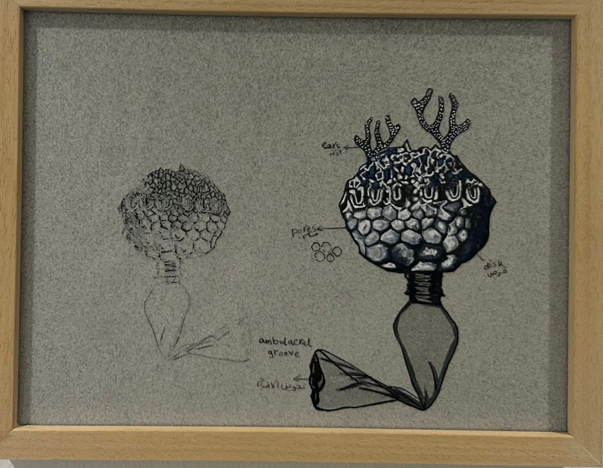 Esraa El Feky, Untitled Sketch #2, 2022