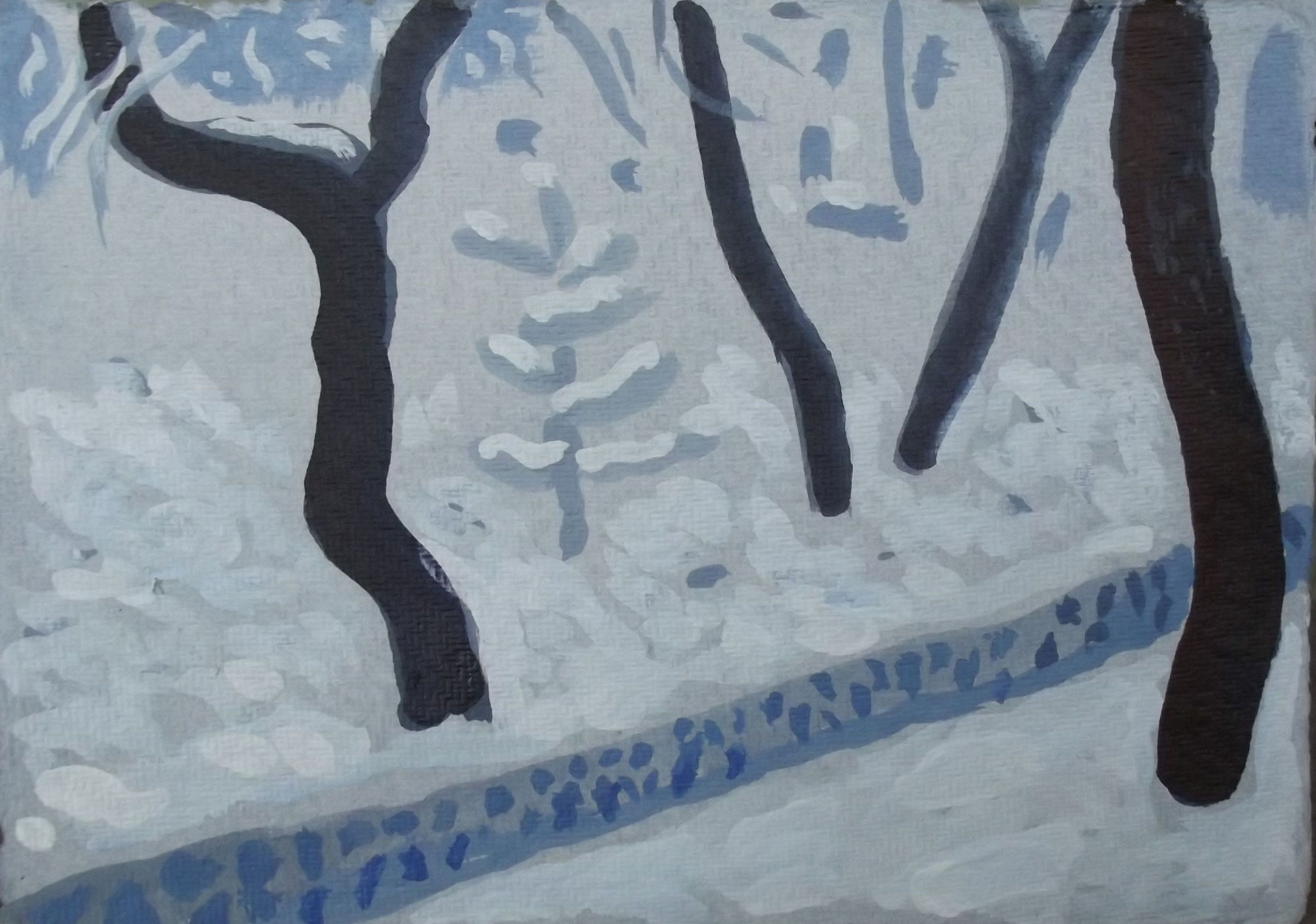 Mike Piggott, Winter Cottonwoods, 2016