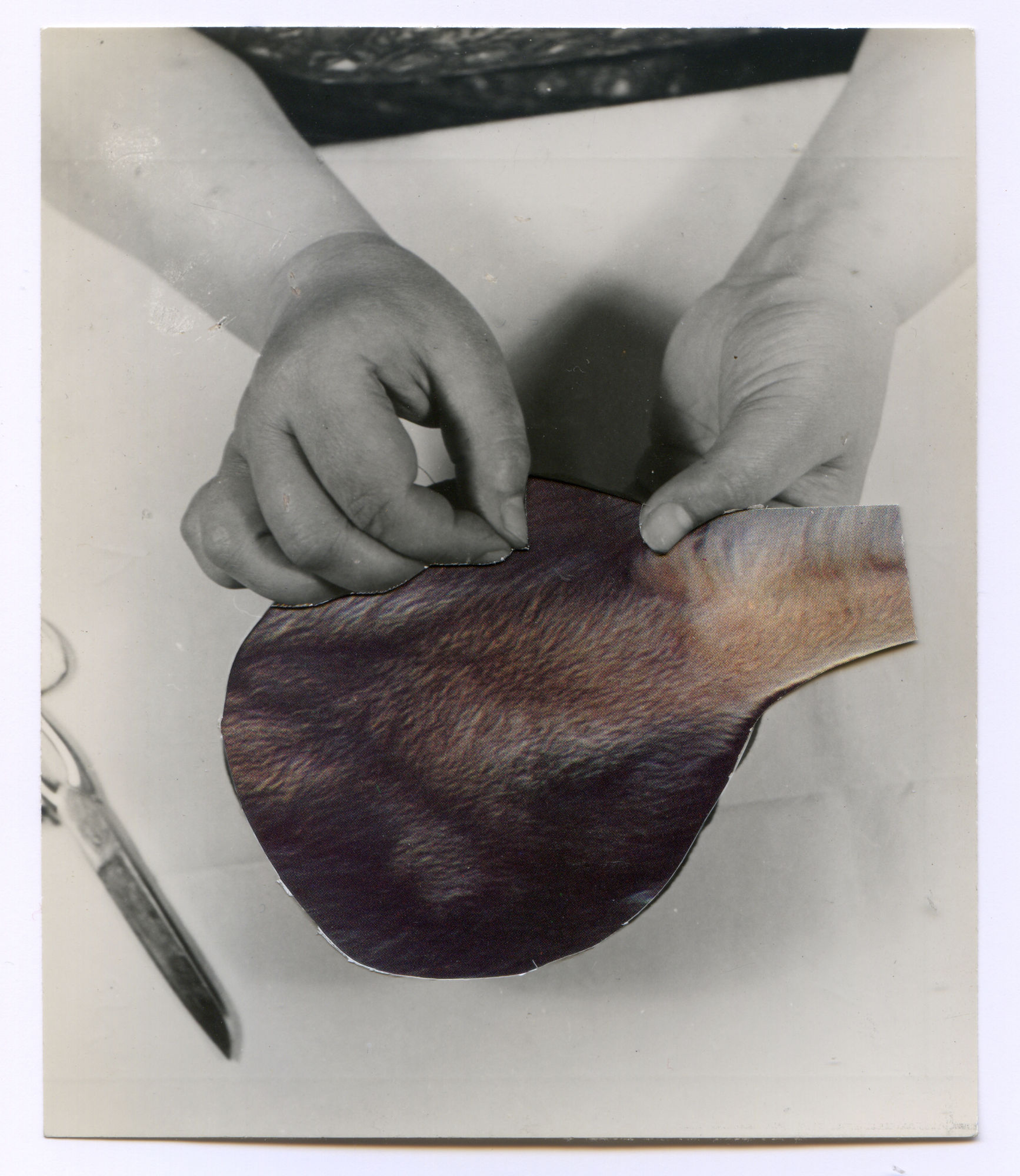 Ruth van Beek, The Making 4, 2011