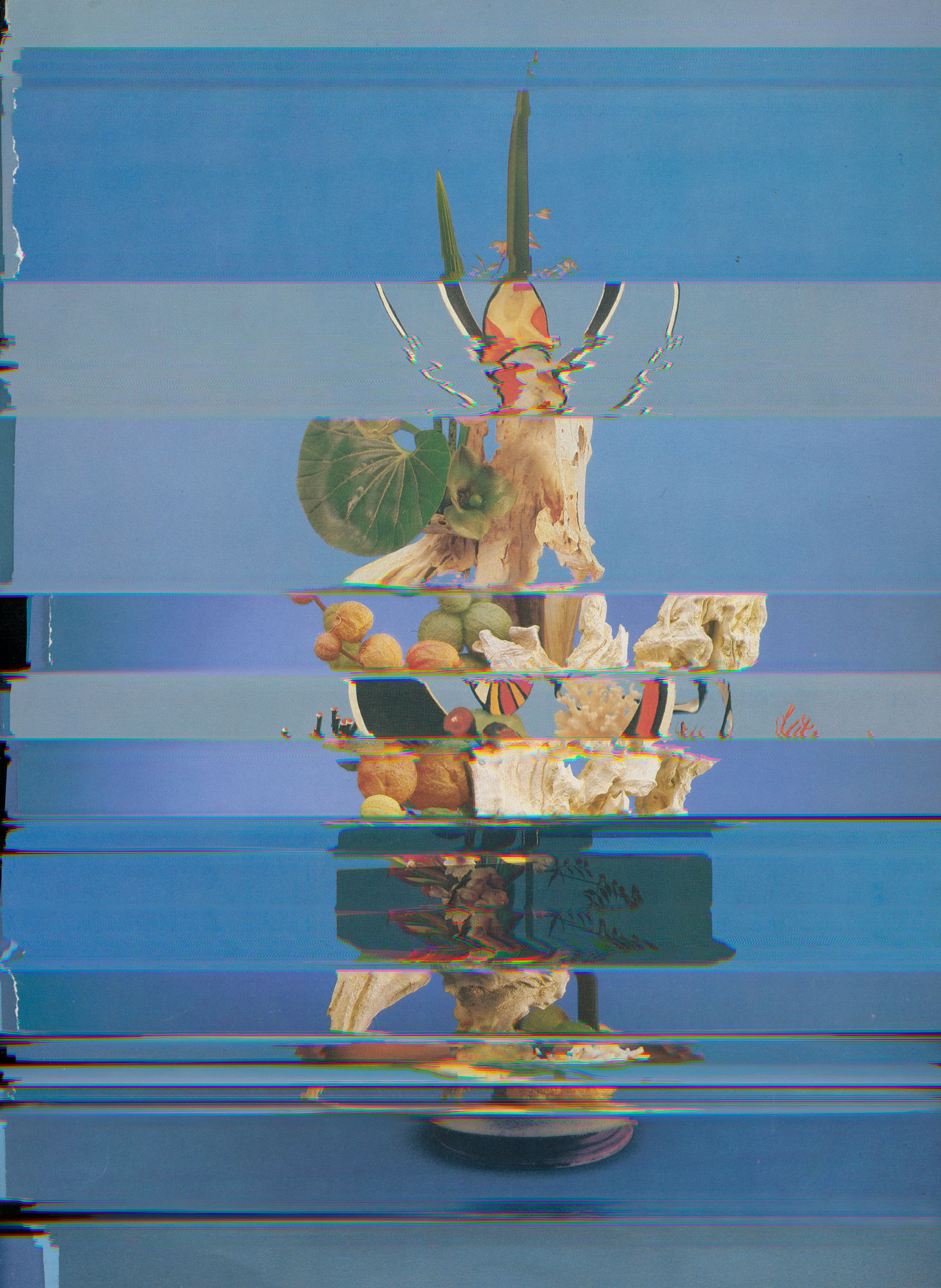 Nico Krijno, Lockdown Collage #91, 2020