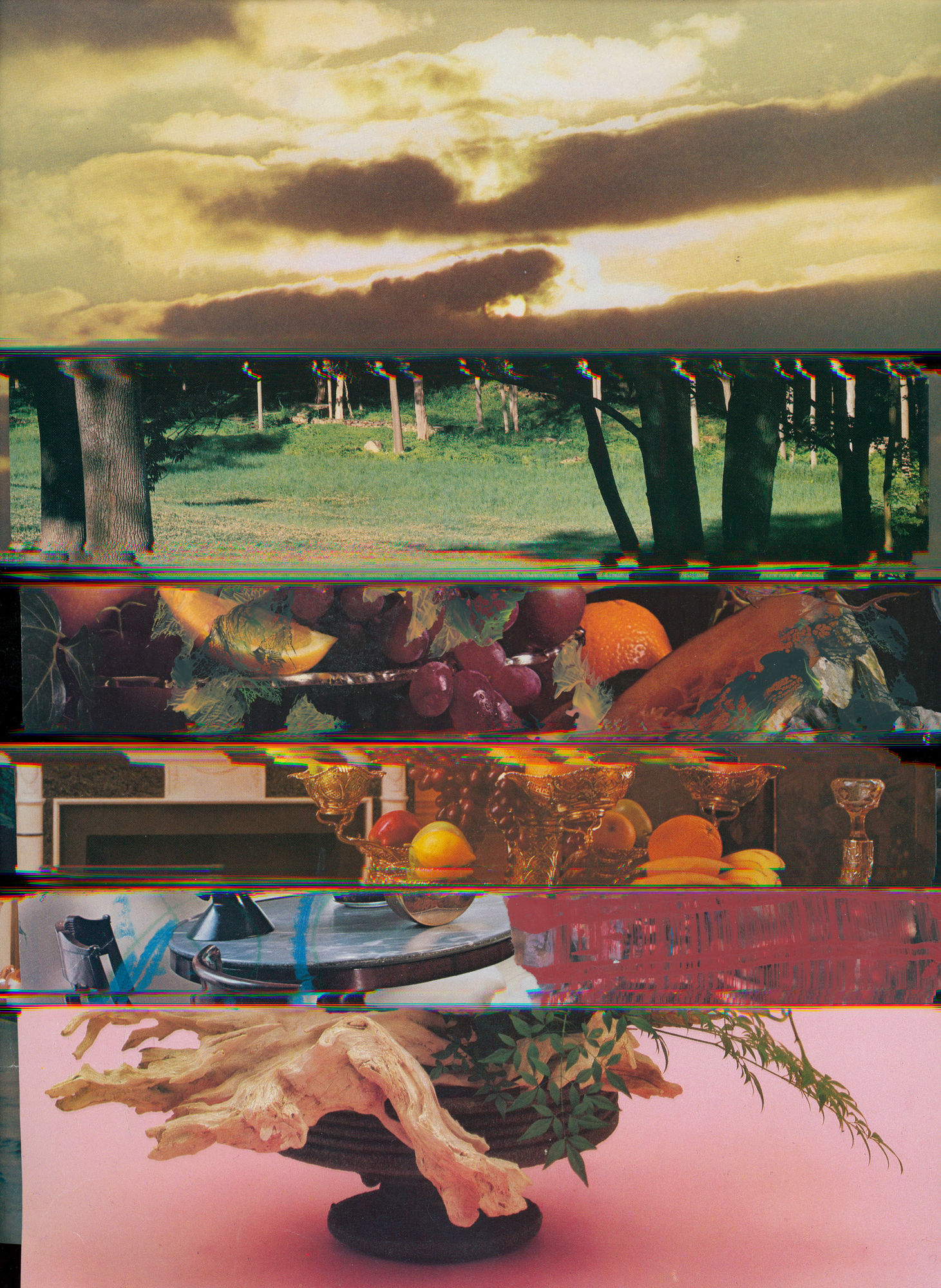 Nico Krijno, Lockdown Collage #100, 2020