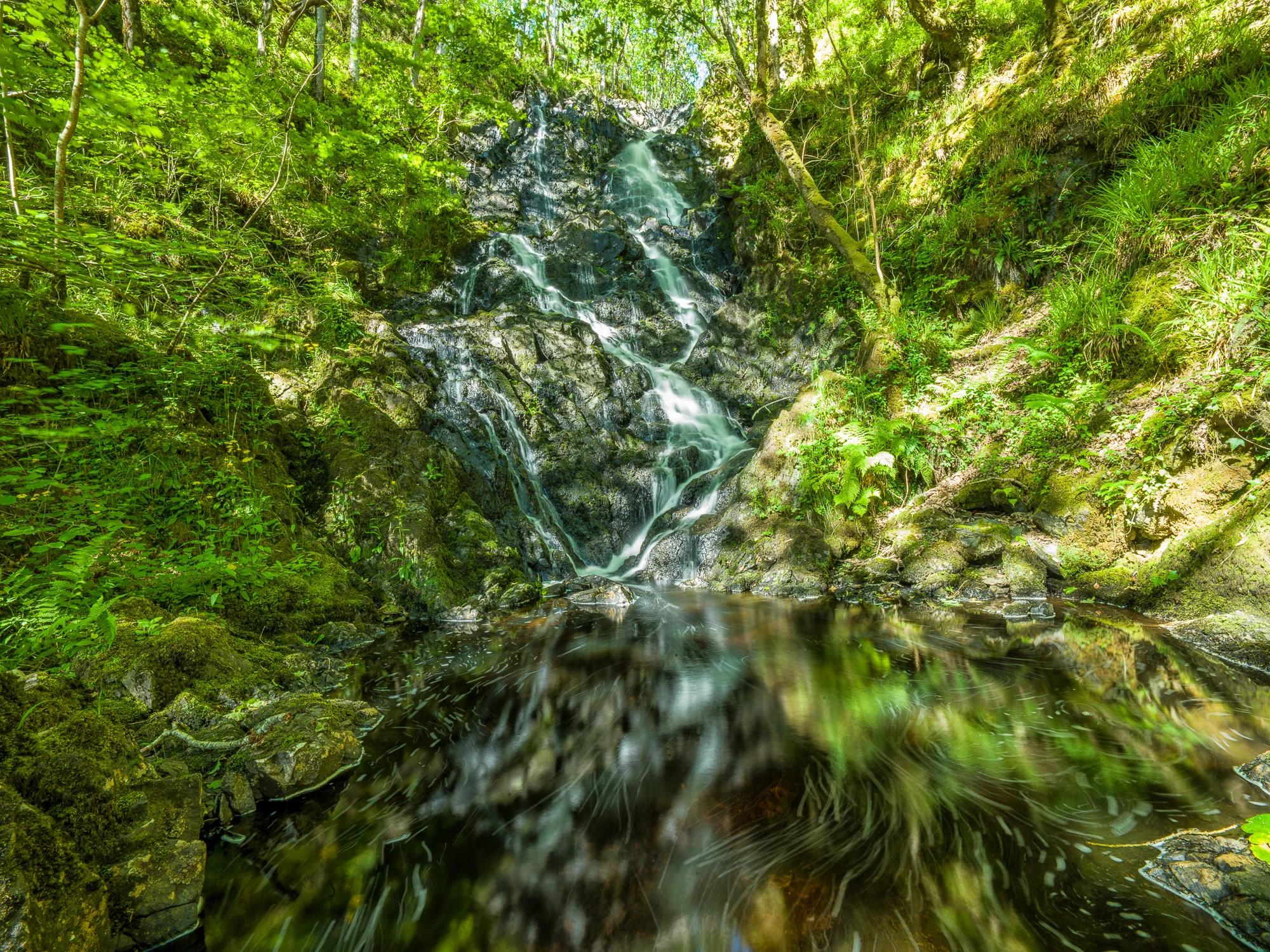 Adrian Houston, Ancient Woodland - Wood of Cree Waterfall Dumfries and Galloway Scotland, 2022