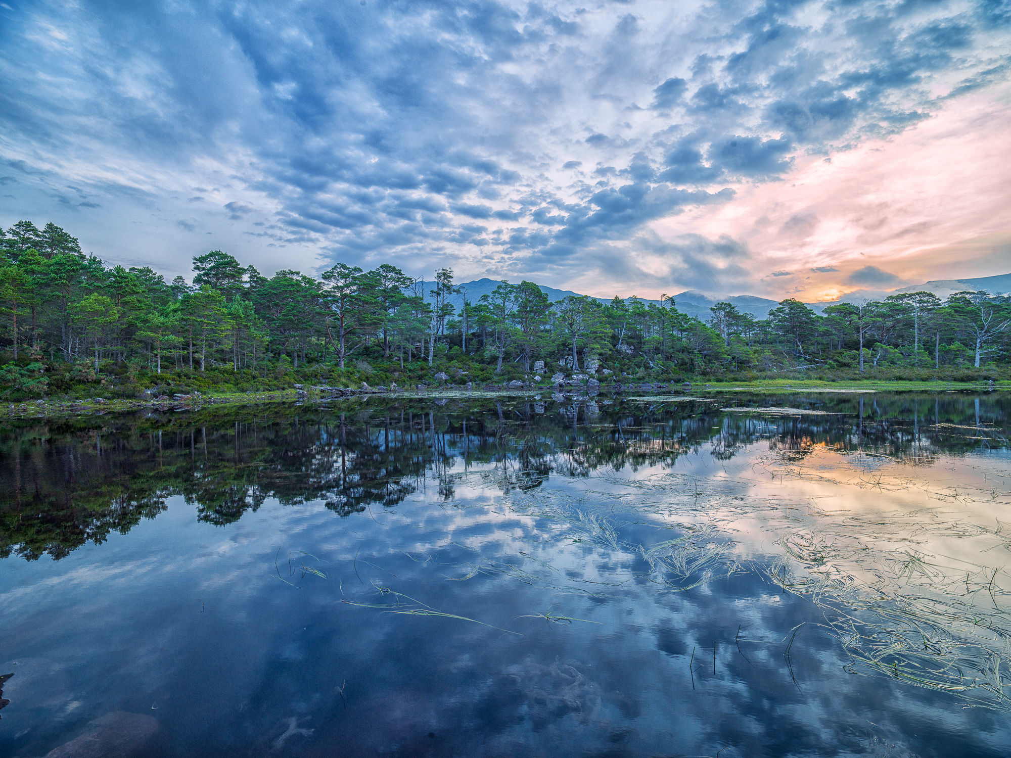Adrian Houston, Loch Maree X Highlands, 2022