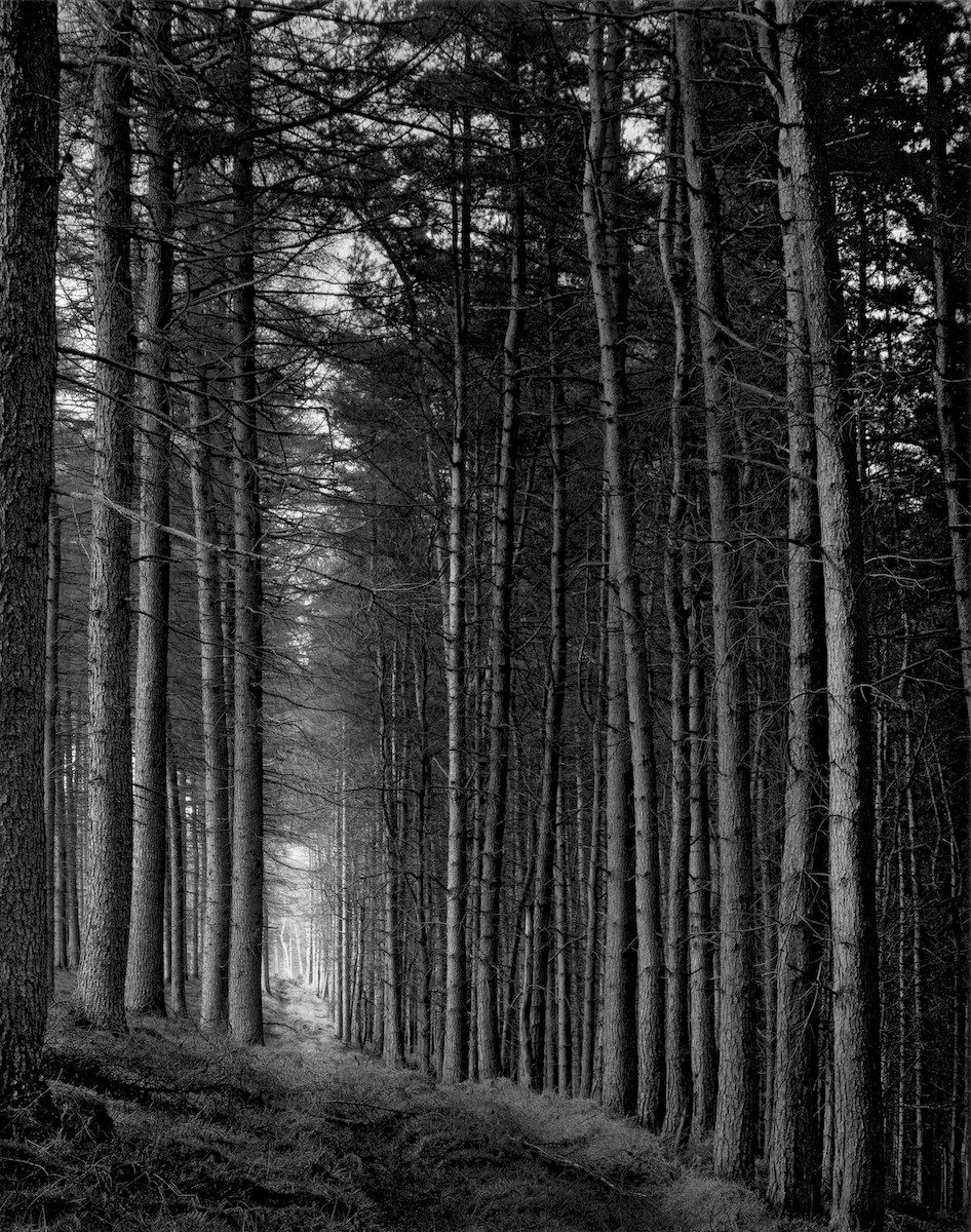 Paul Hart, Portal, 2007