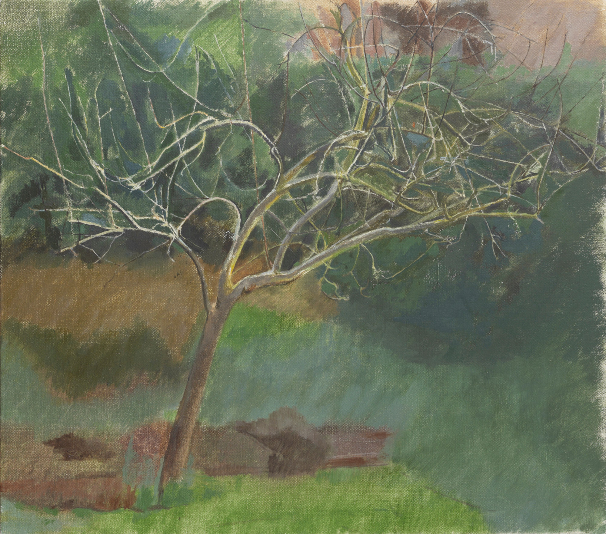 Charlotte Verity, Apple Tree in Winter , 2006