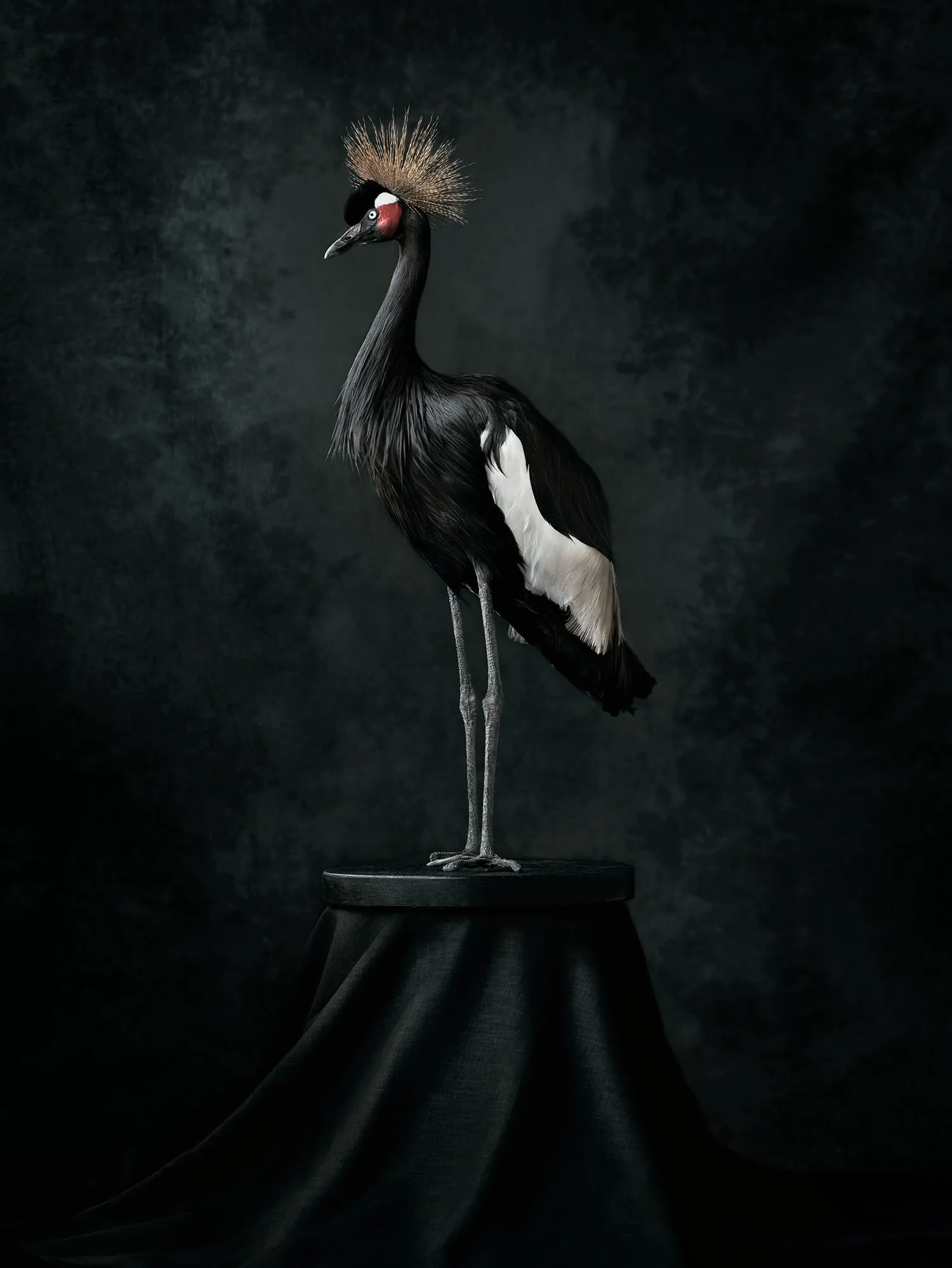 DAGMAR VAN WEEGHEL, The Crown II, 2019