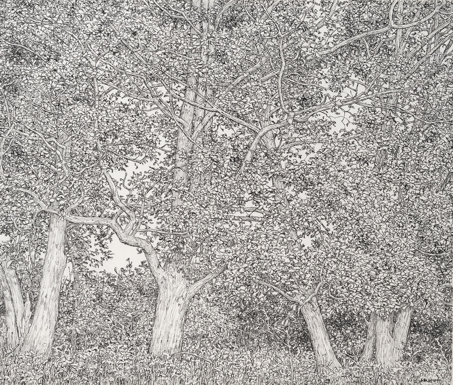 Roy Wright PS, The Rhythm of the Autumn Leaves