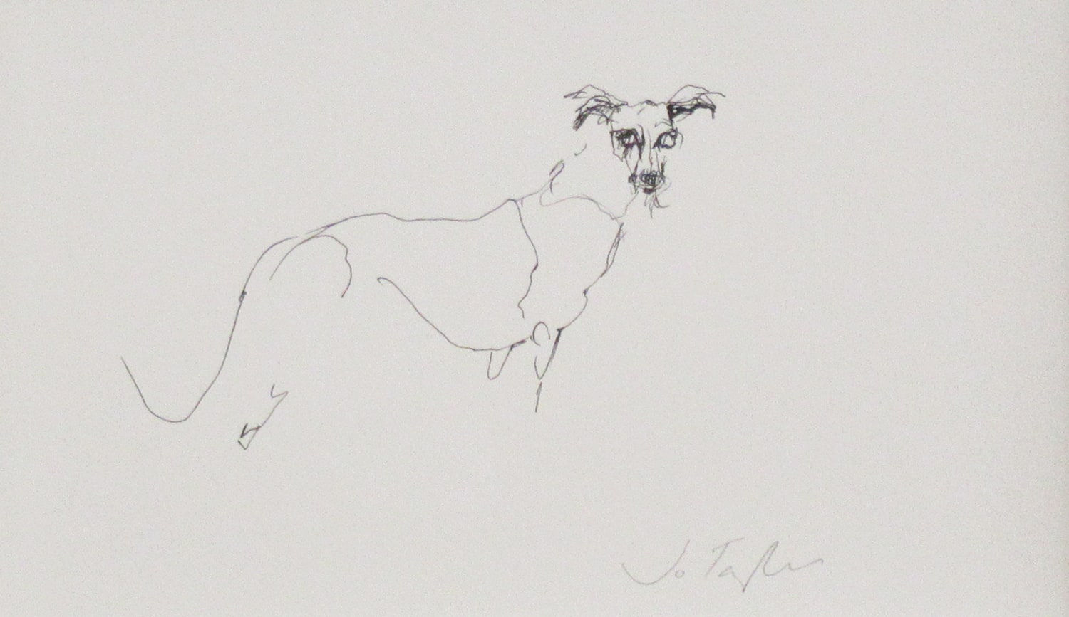 Jo Taylor, Lurcher