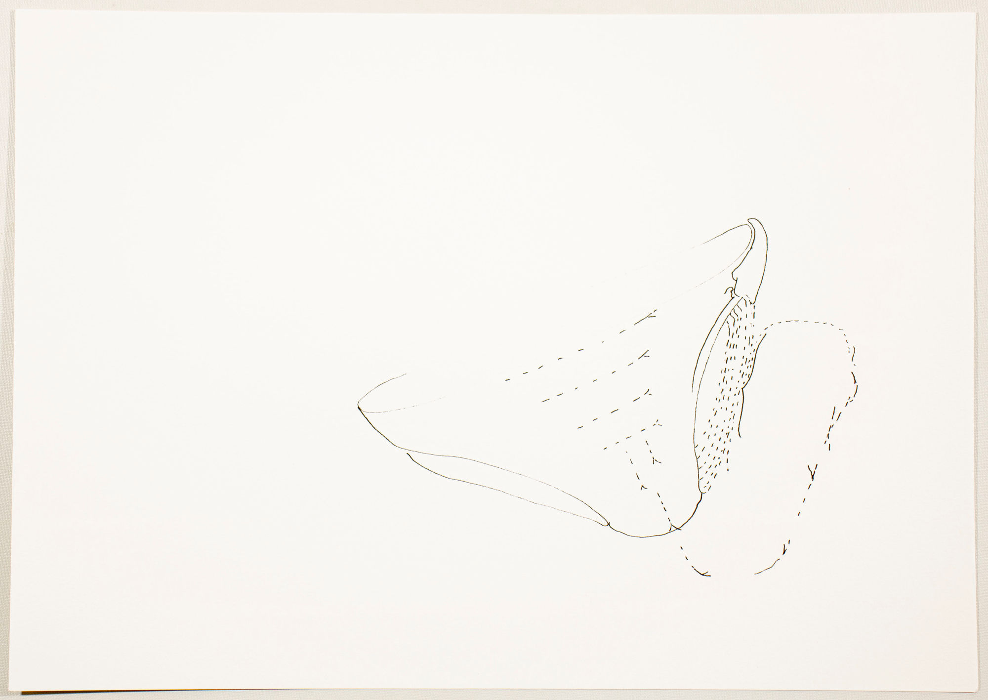 Willem Vermeersch, Rating, 2023