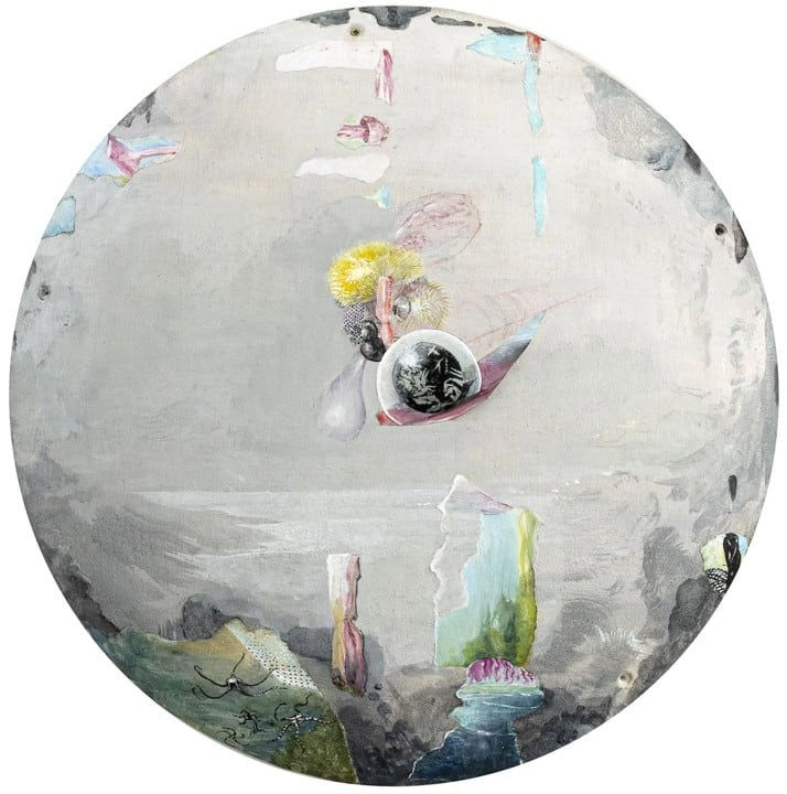 Marilou van Lierop, Plants that dream, 2023